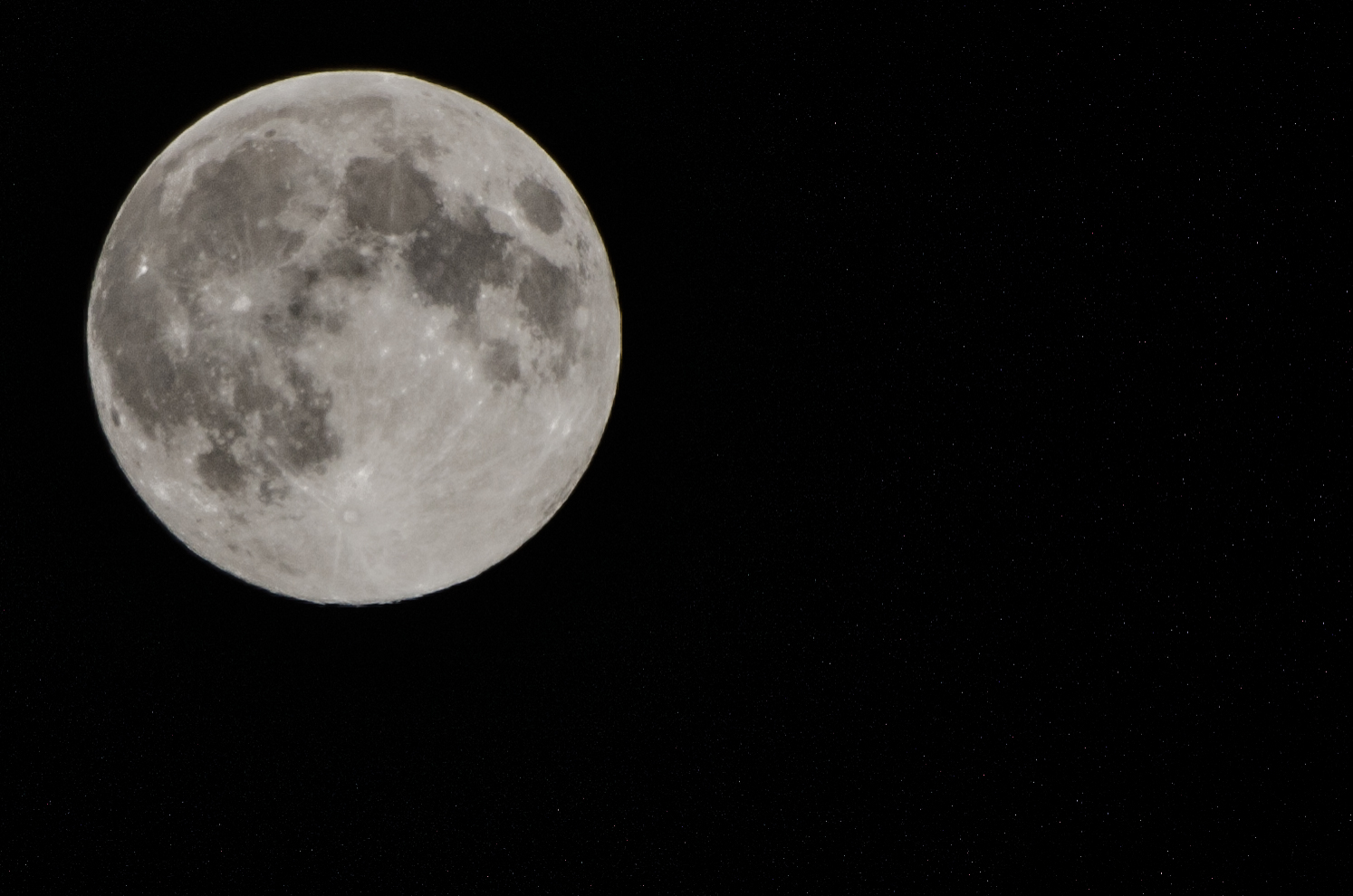 The queen of the night