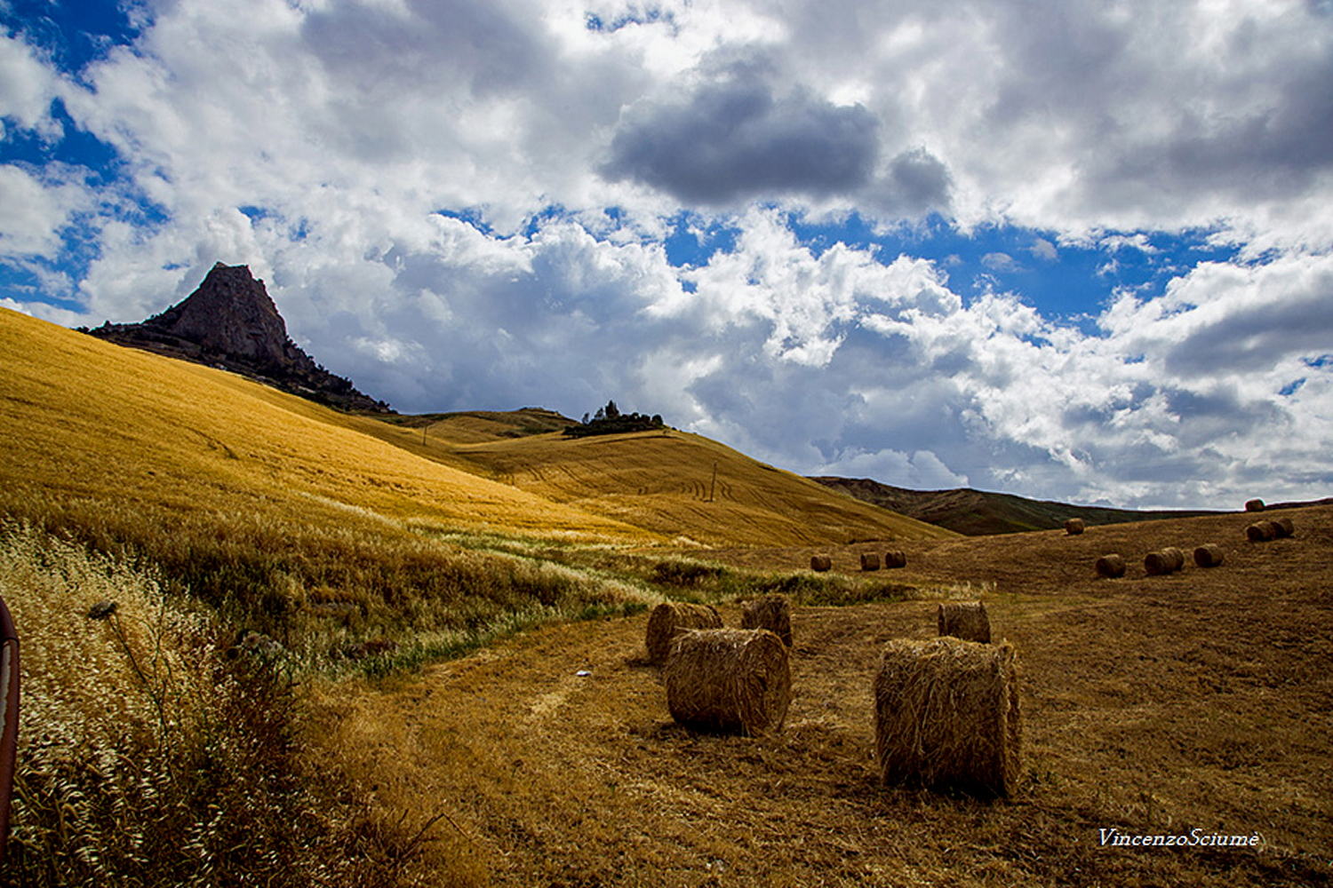 Round bales