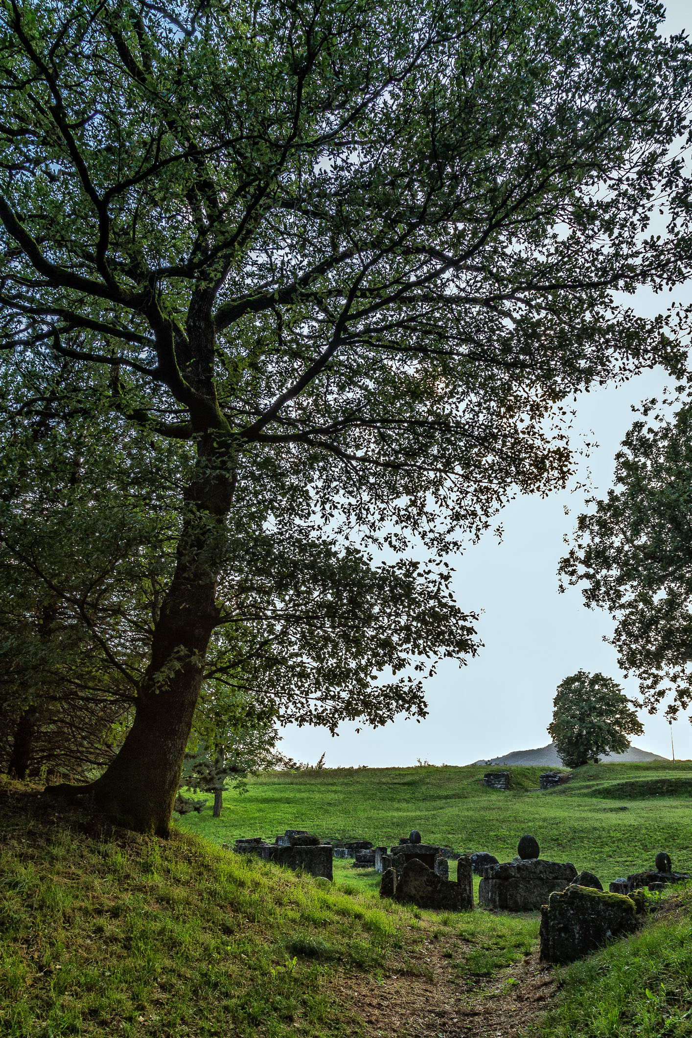Necropoli Etrusca di Marzabotto