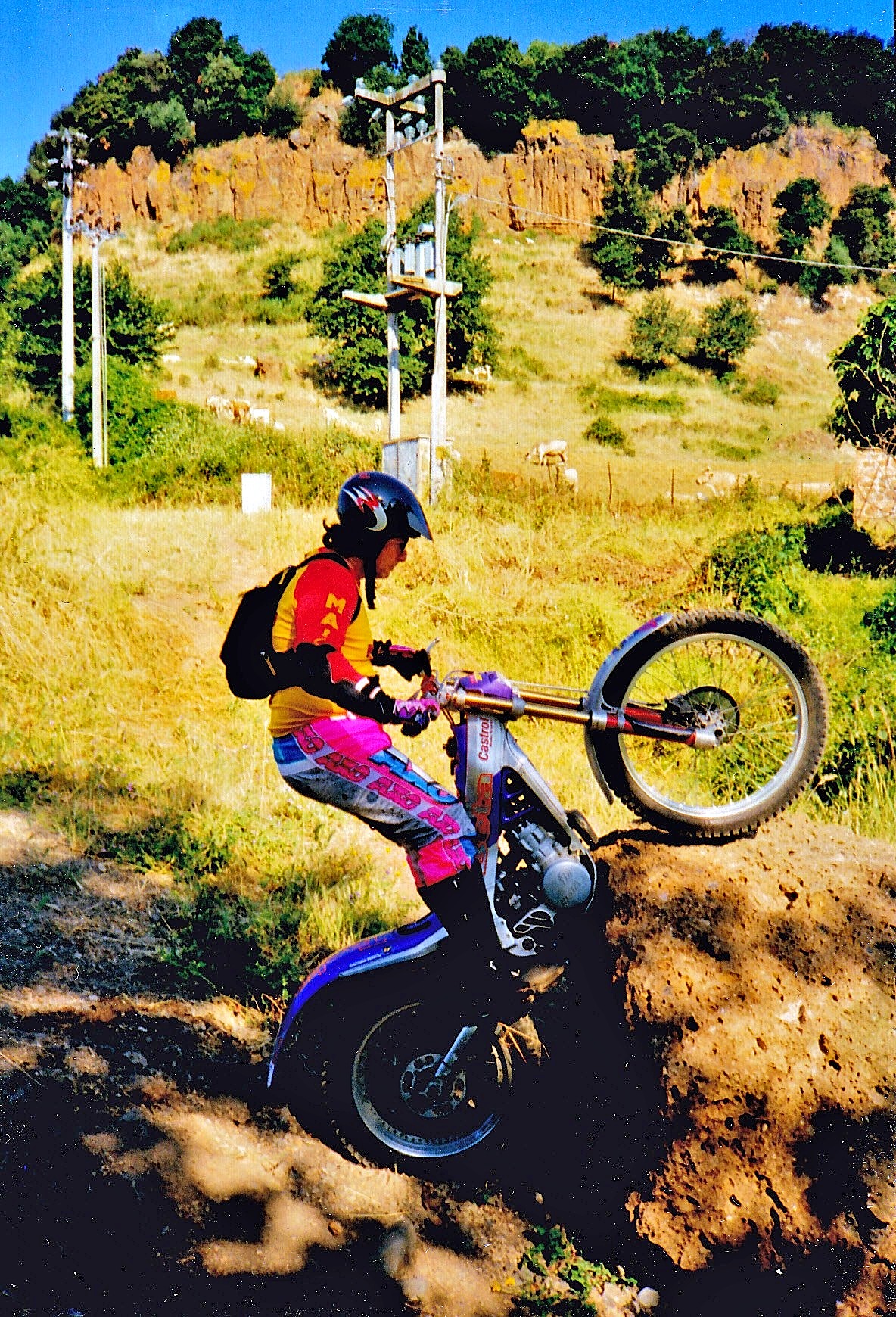 The trial of Abbott and Costello