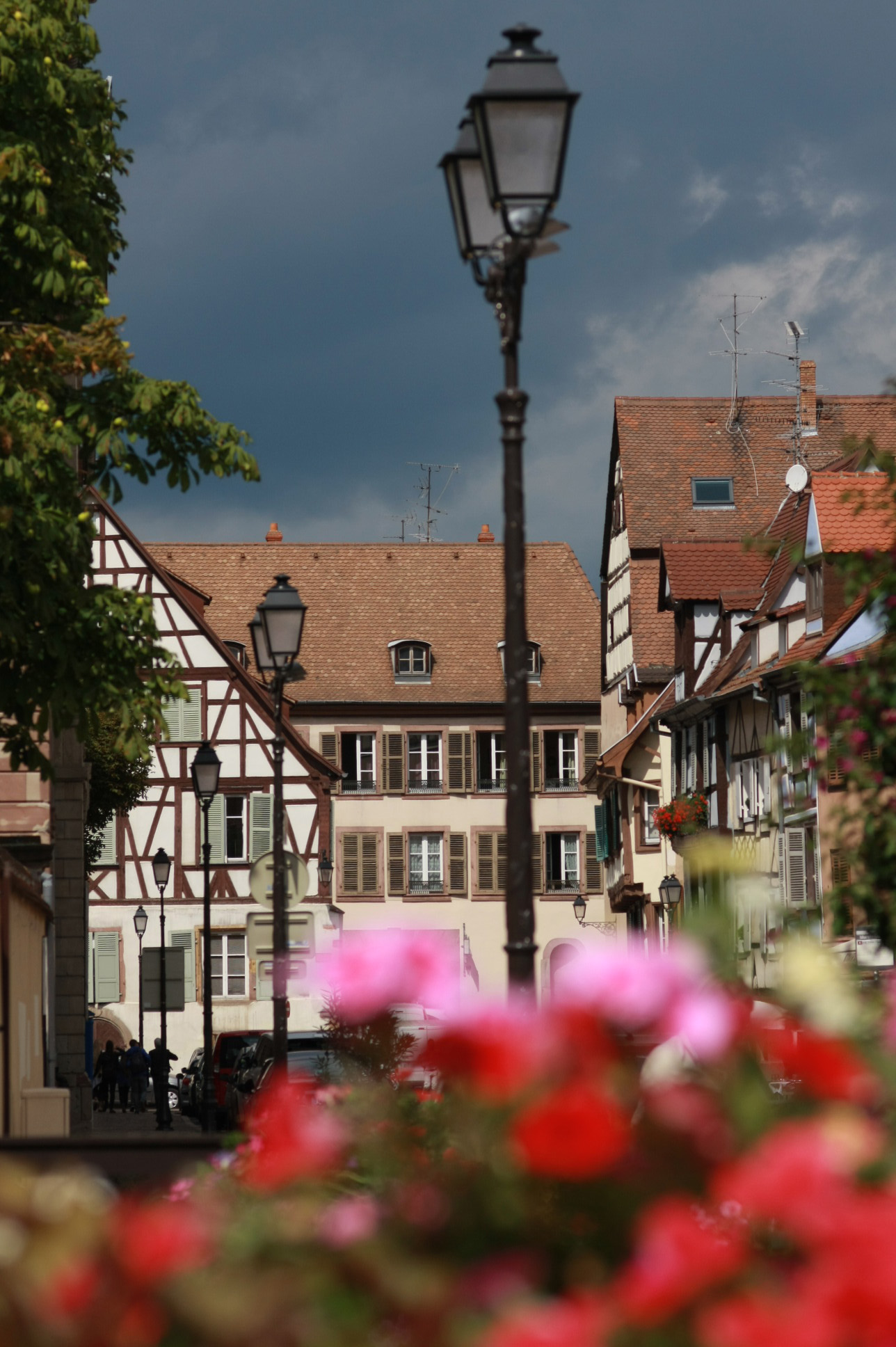 Flower power + bokeh