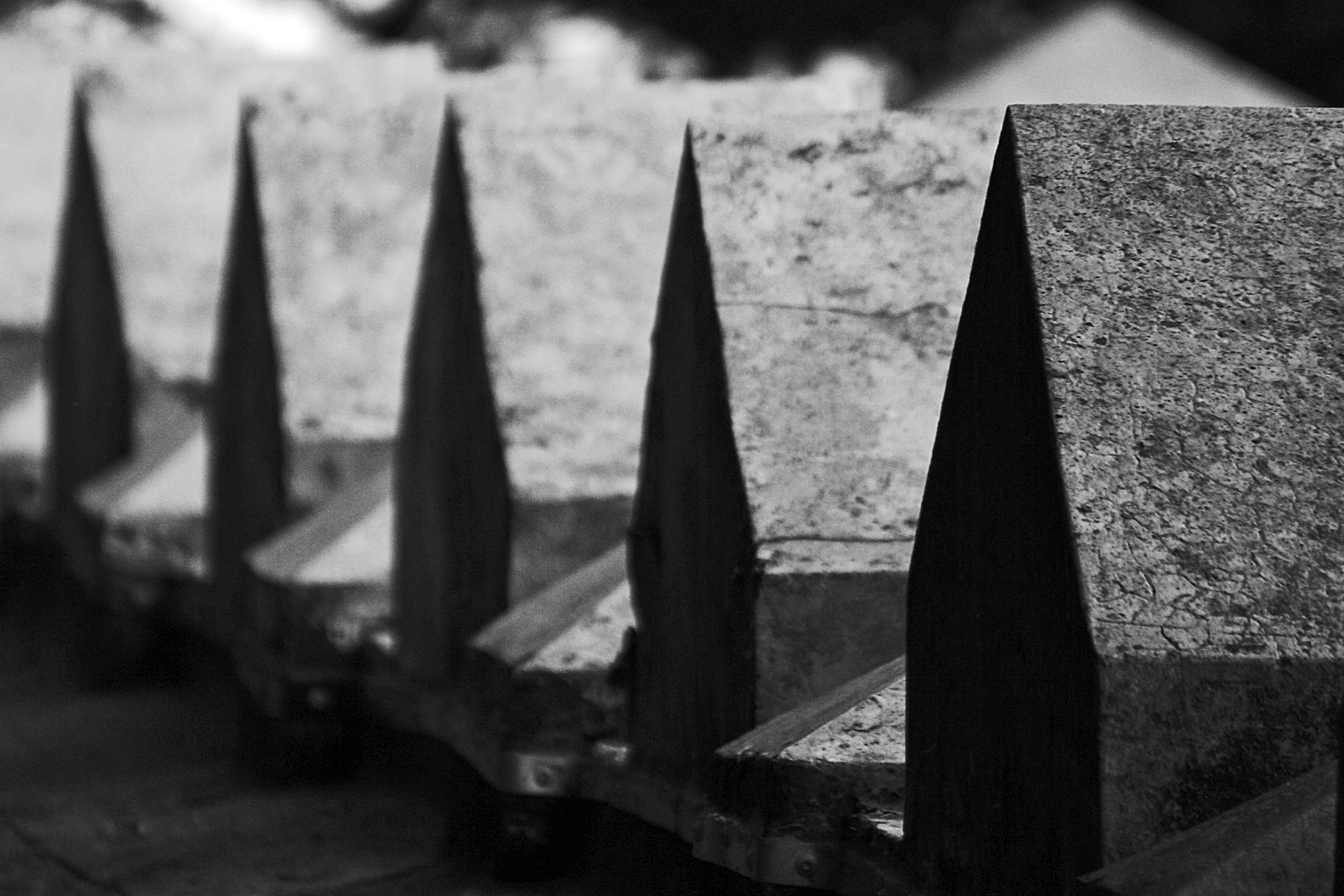 profondità di campo.. santo.