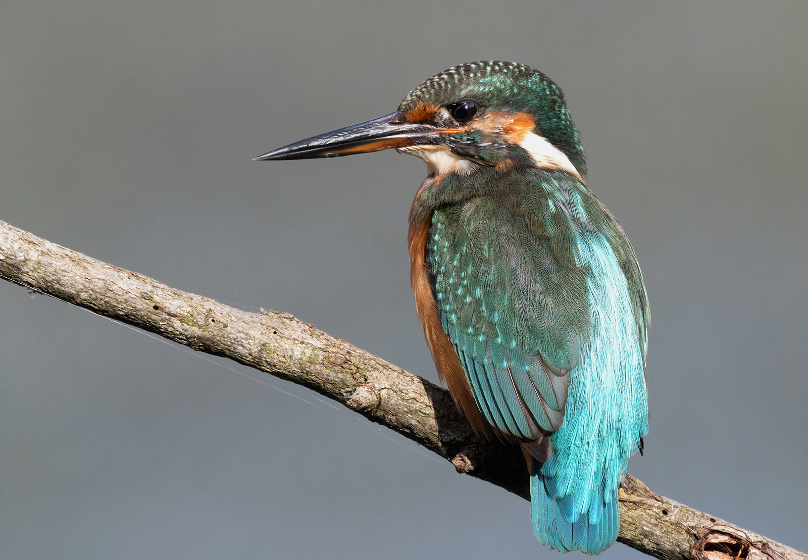 but I'm watching you break c .... !!!!!