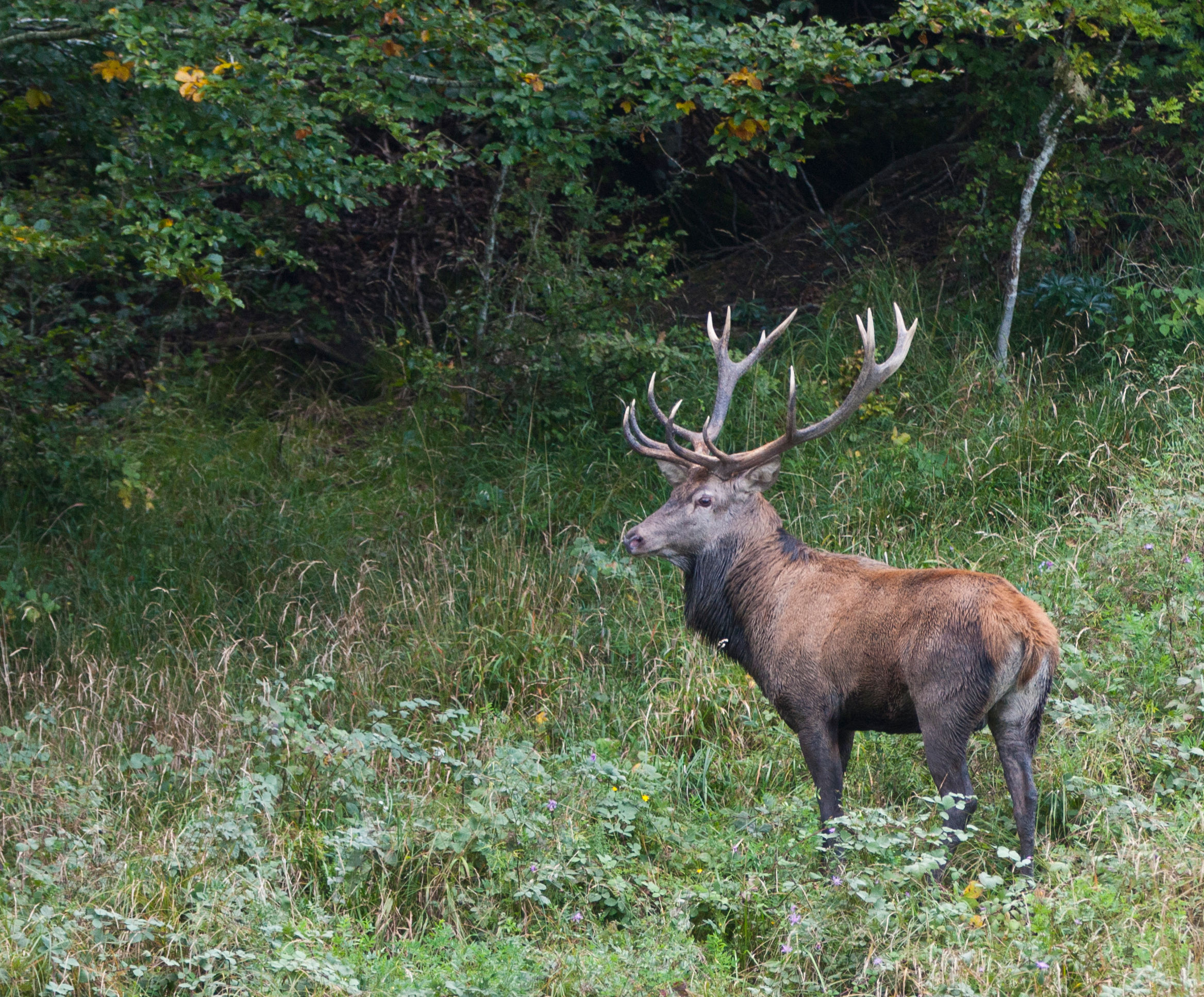 I give you my profile