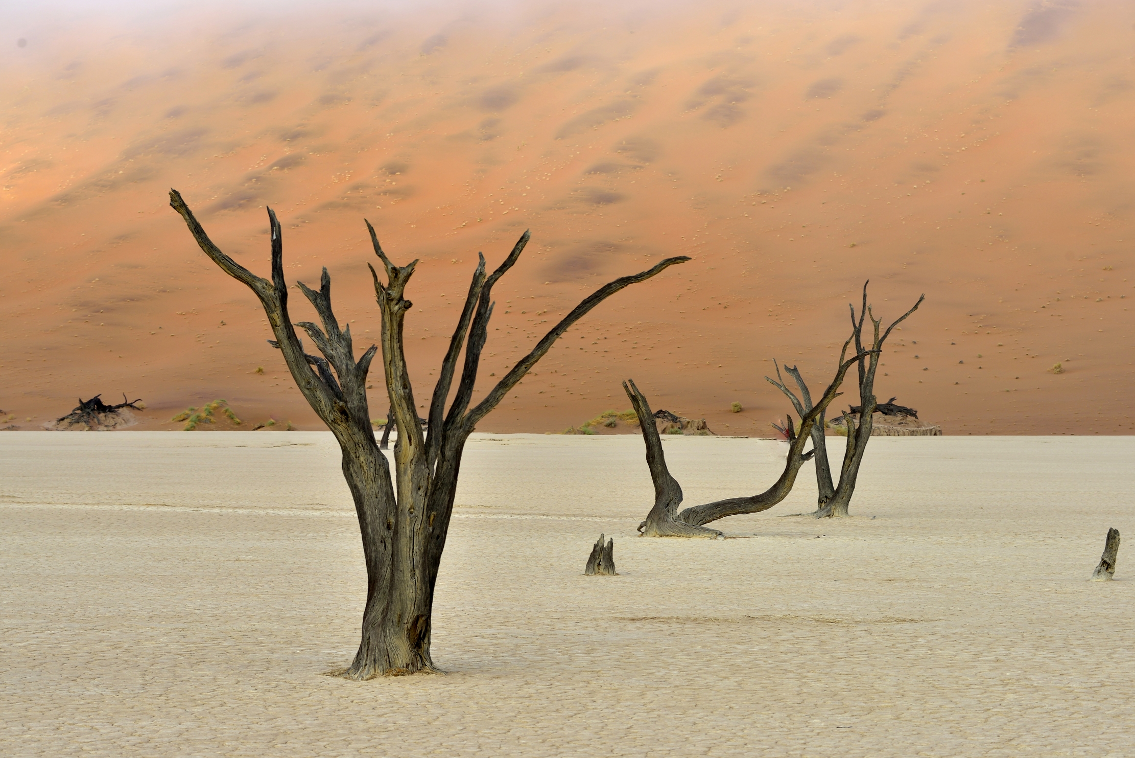 Deserto del Namib - Deadvlei