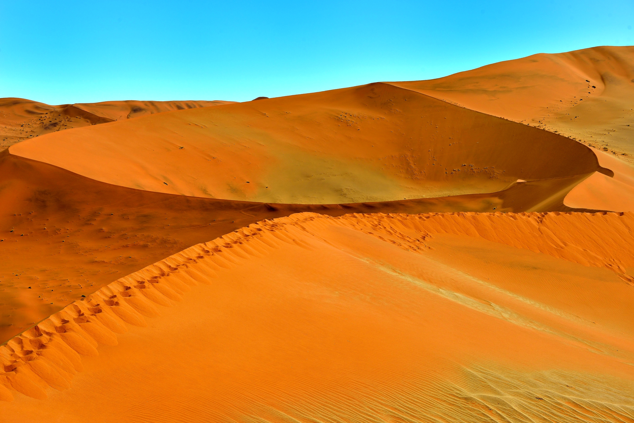 Deserto del Namib -