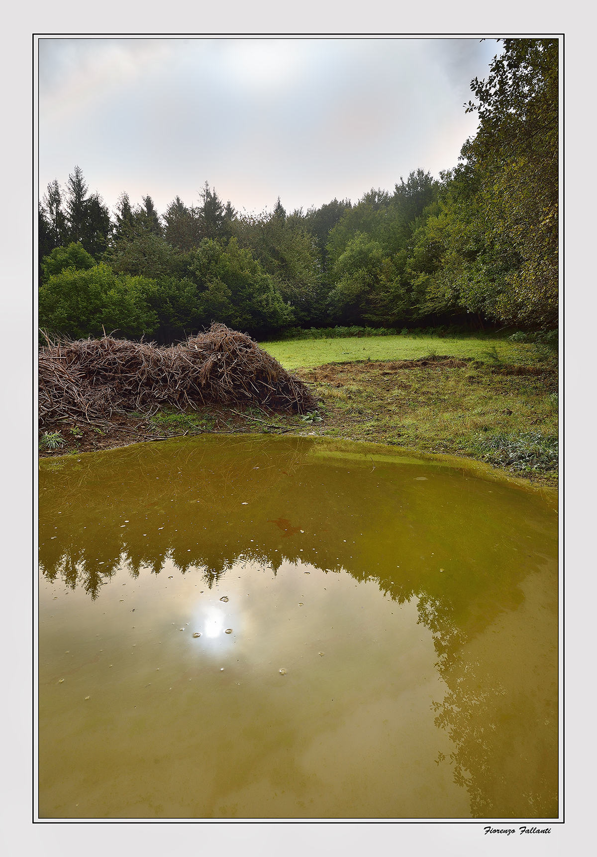 Naturale inquuinamento