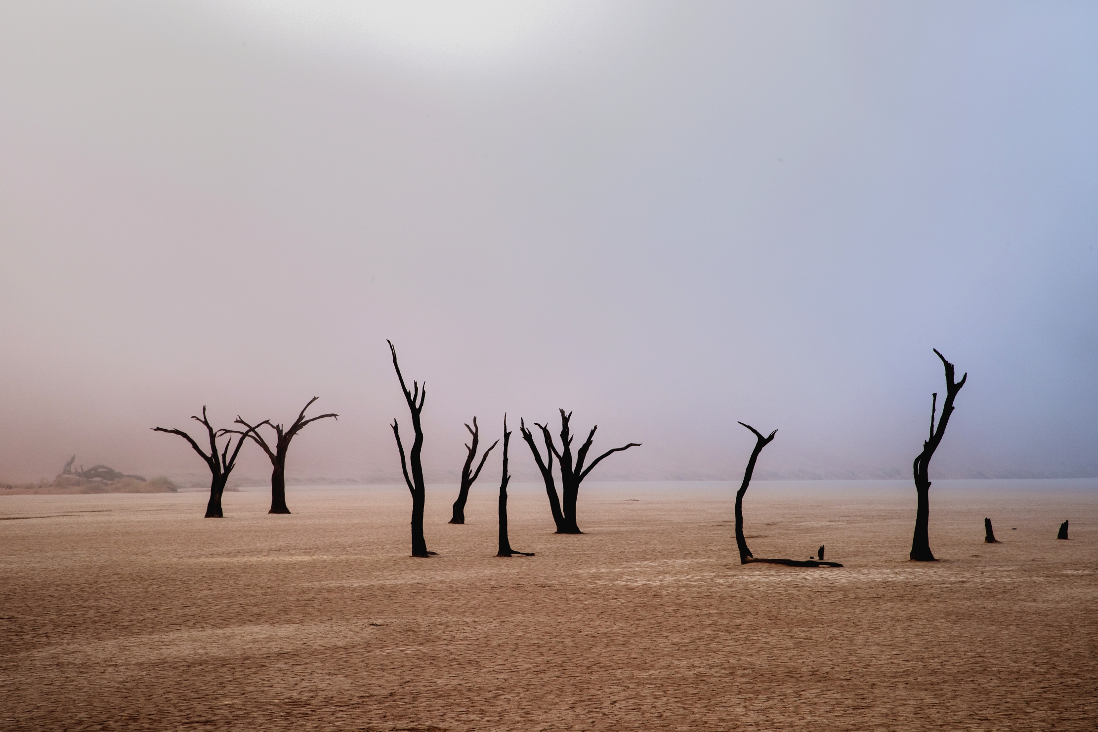 Deserto del Namib - Deadvlei