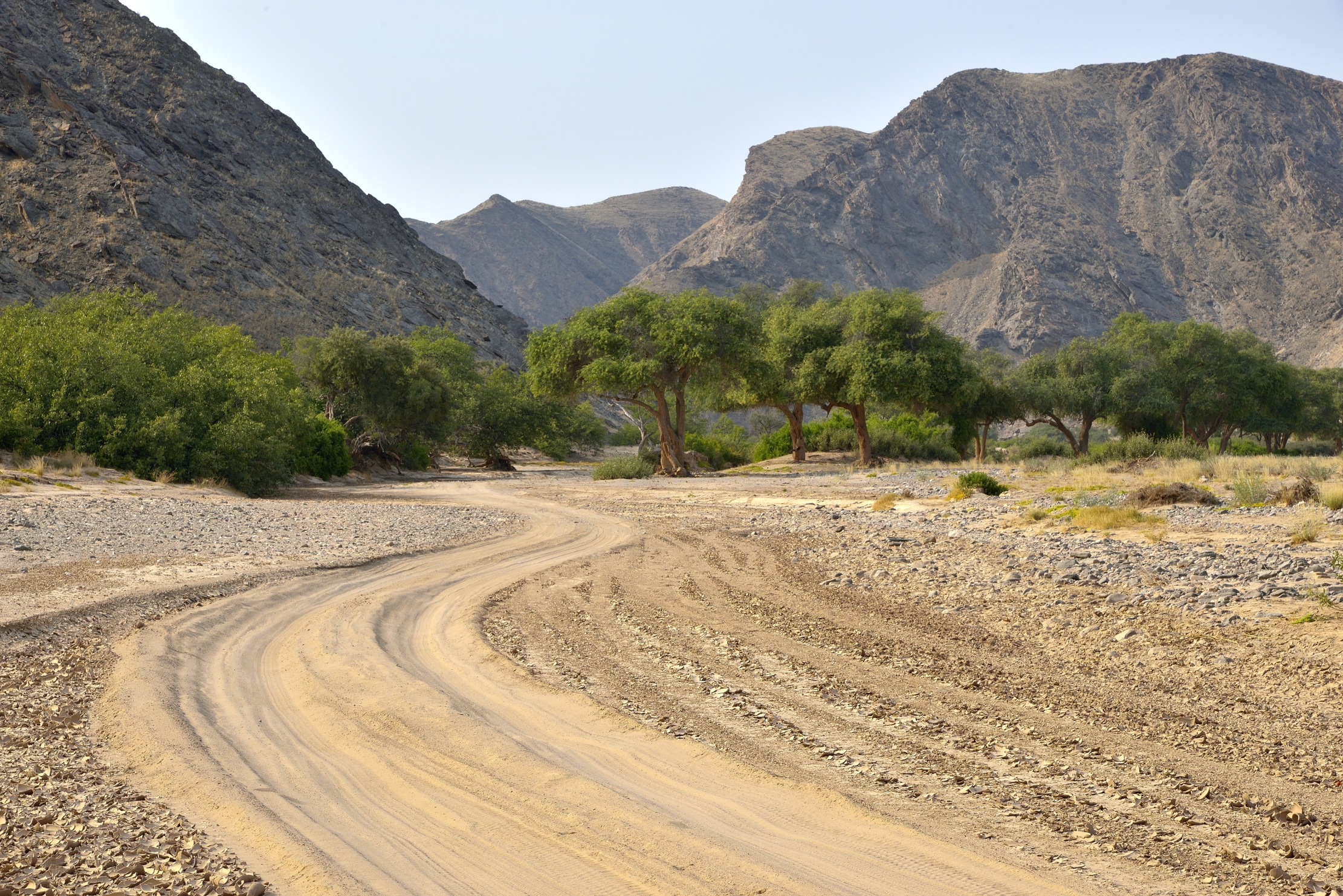 Deserto del Kaokoland