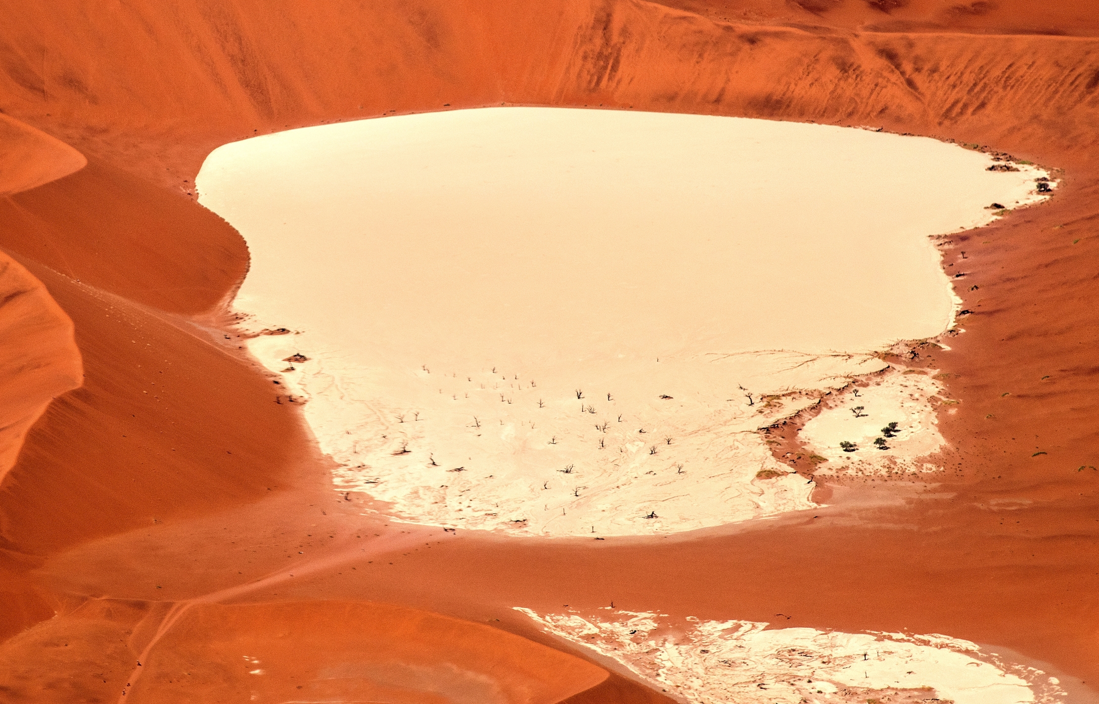 Deserto del Namib - Veduta aerea di Deadvlei