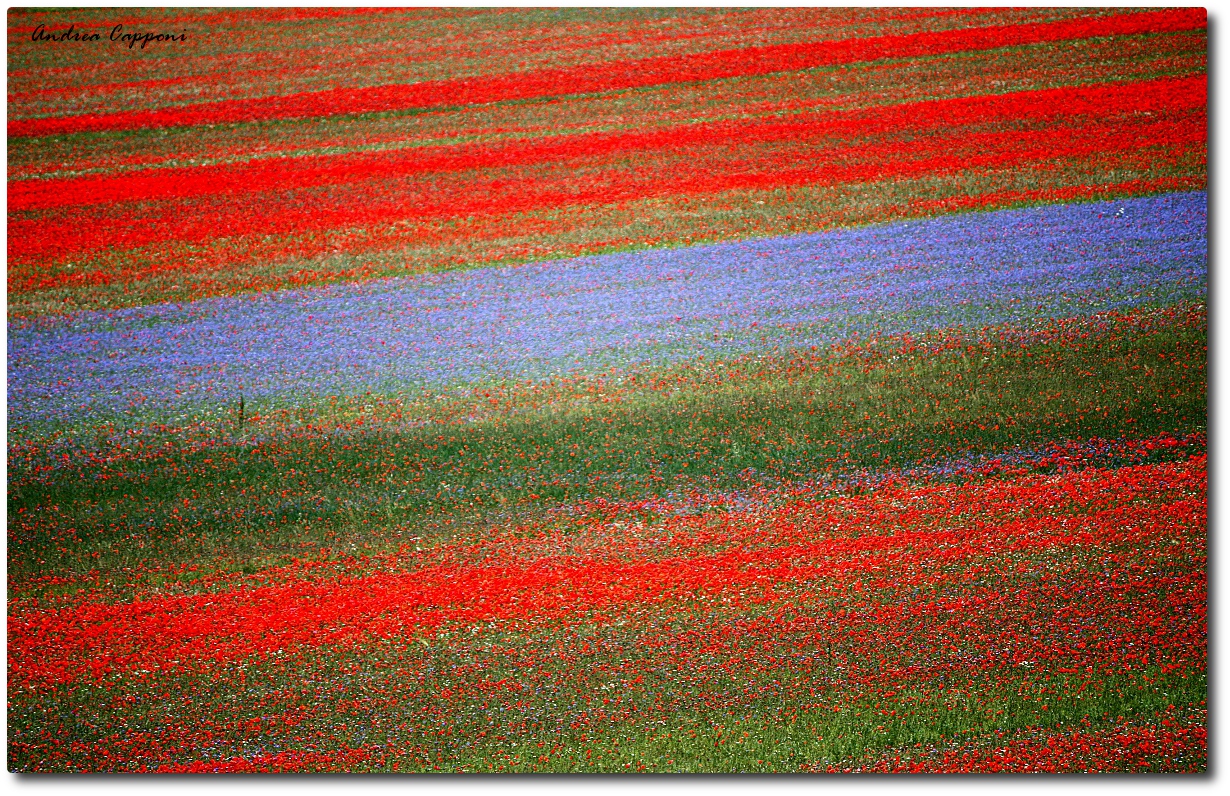 Castelluccio di Norcia
