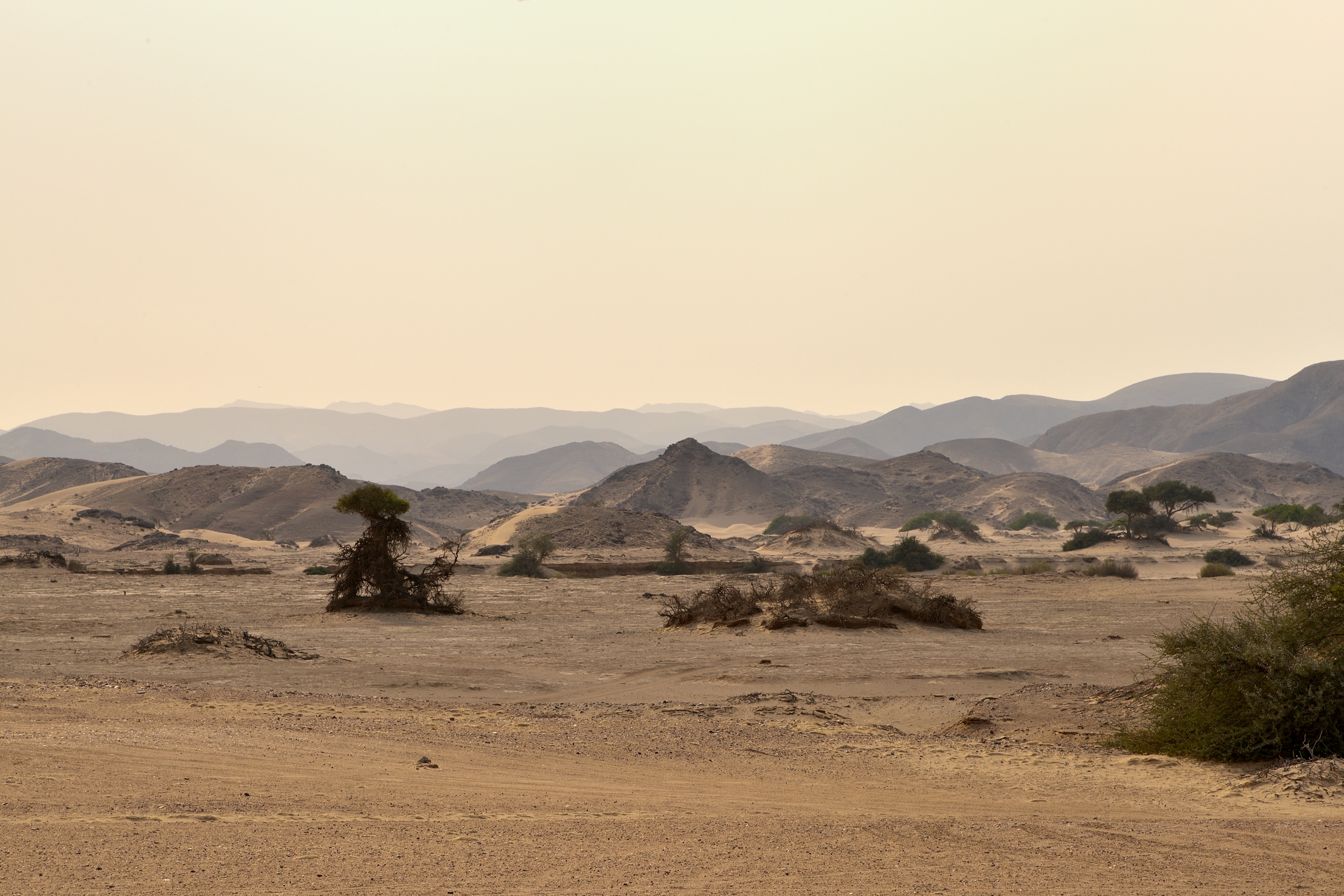 Deserto del Kaokoland