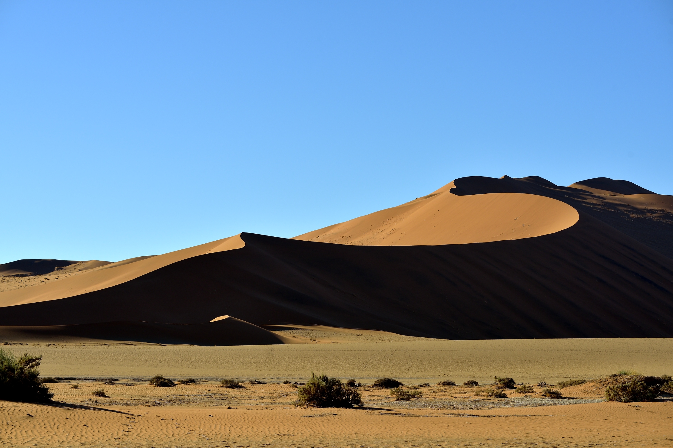 Deserto del Namib