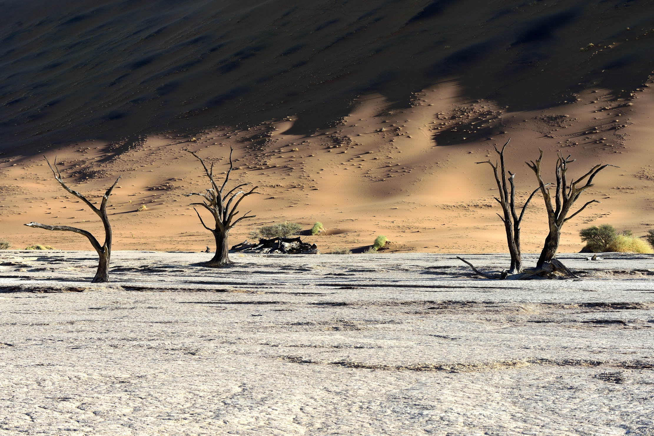 Deserto del Namib - Deadvlei