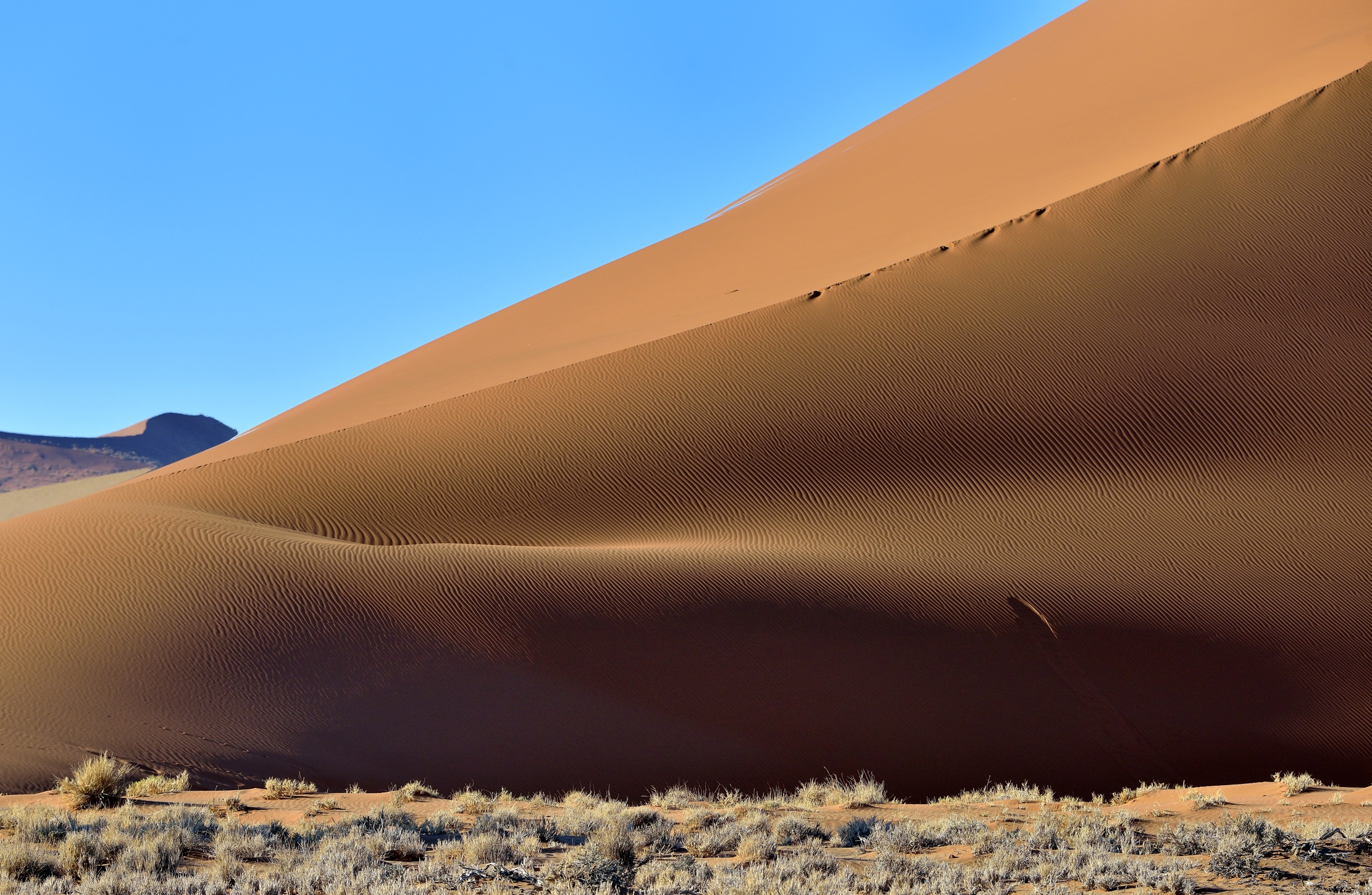 Deserto del Namib