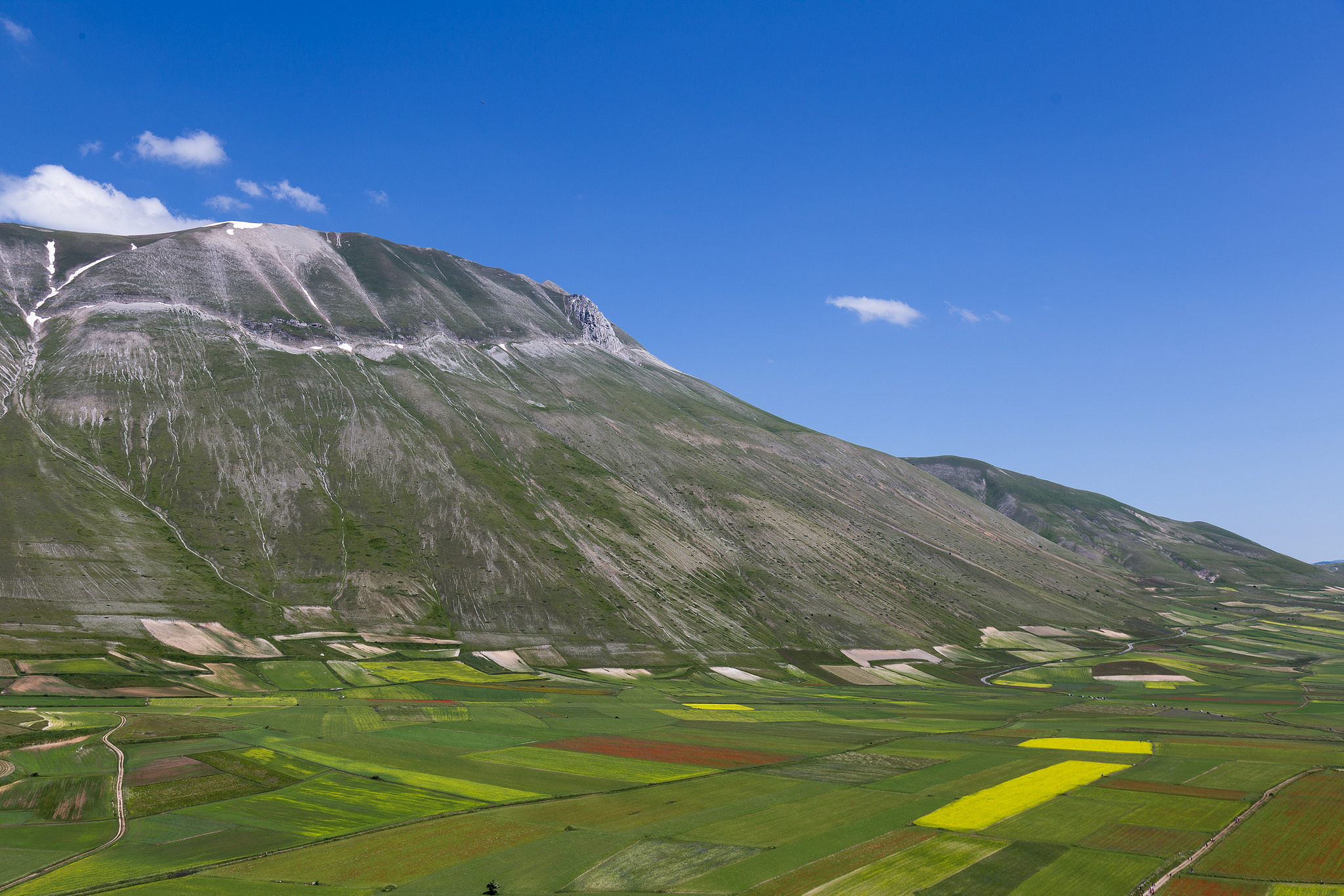 Castelluccio di Norcia - June 2014