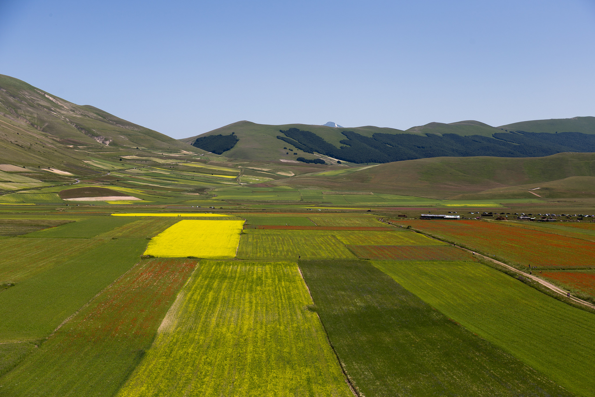 Castelluccio di Norcia - June 2014