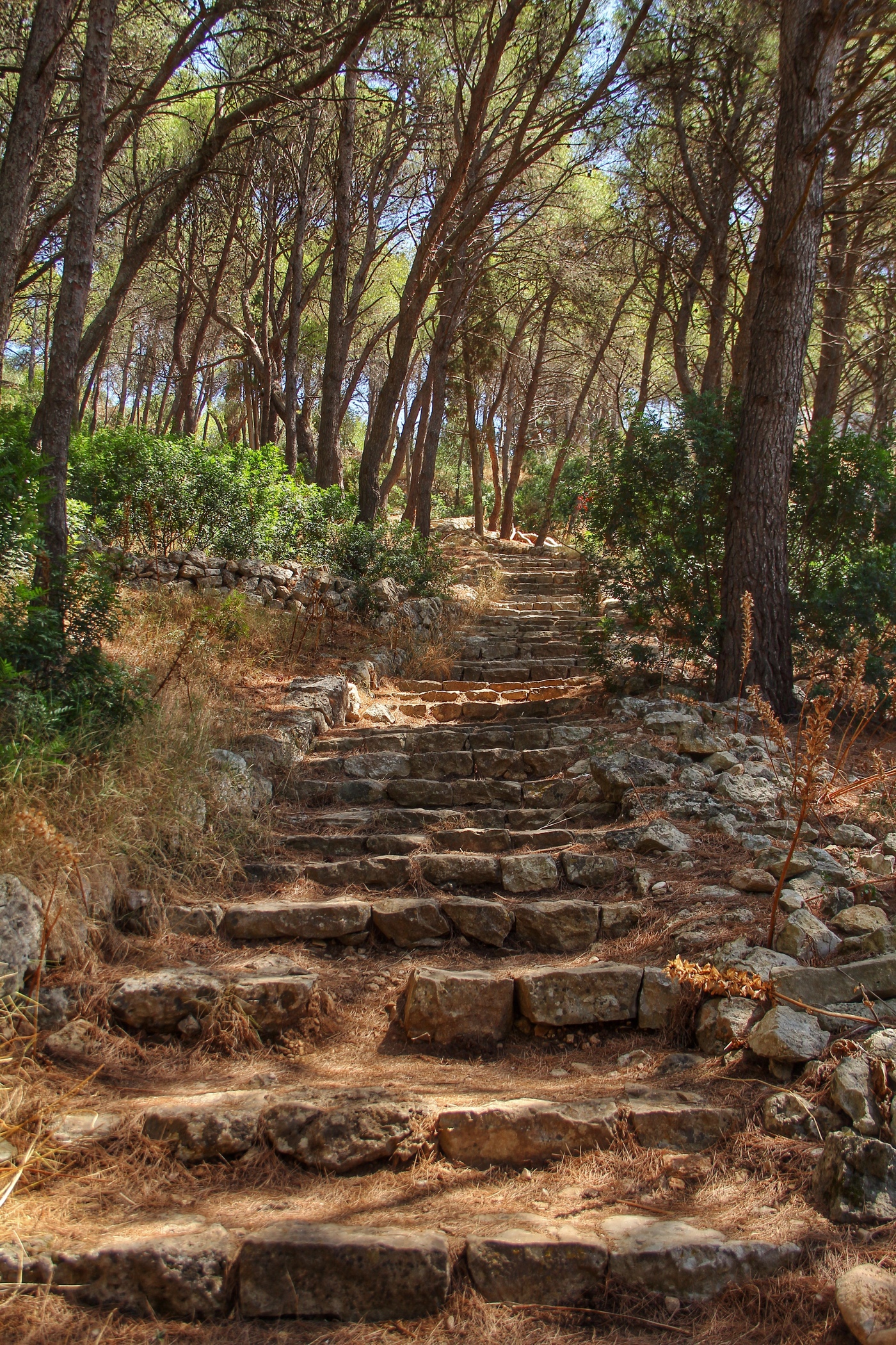 Going up ... in Salento