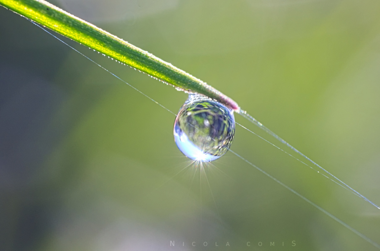 Il mondo in una goccia