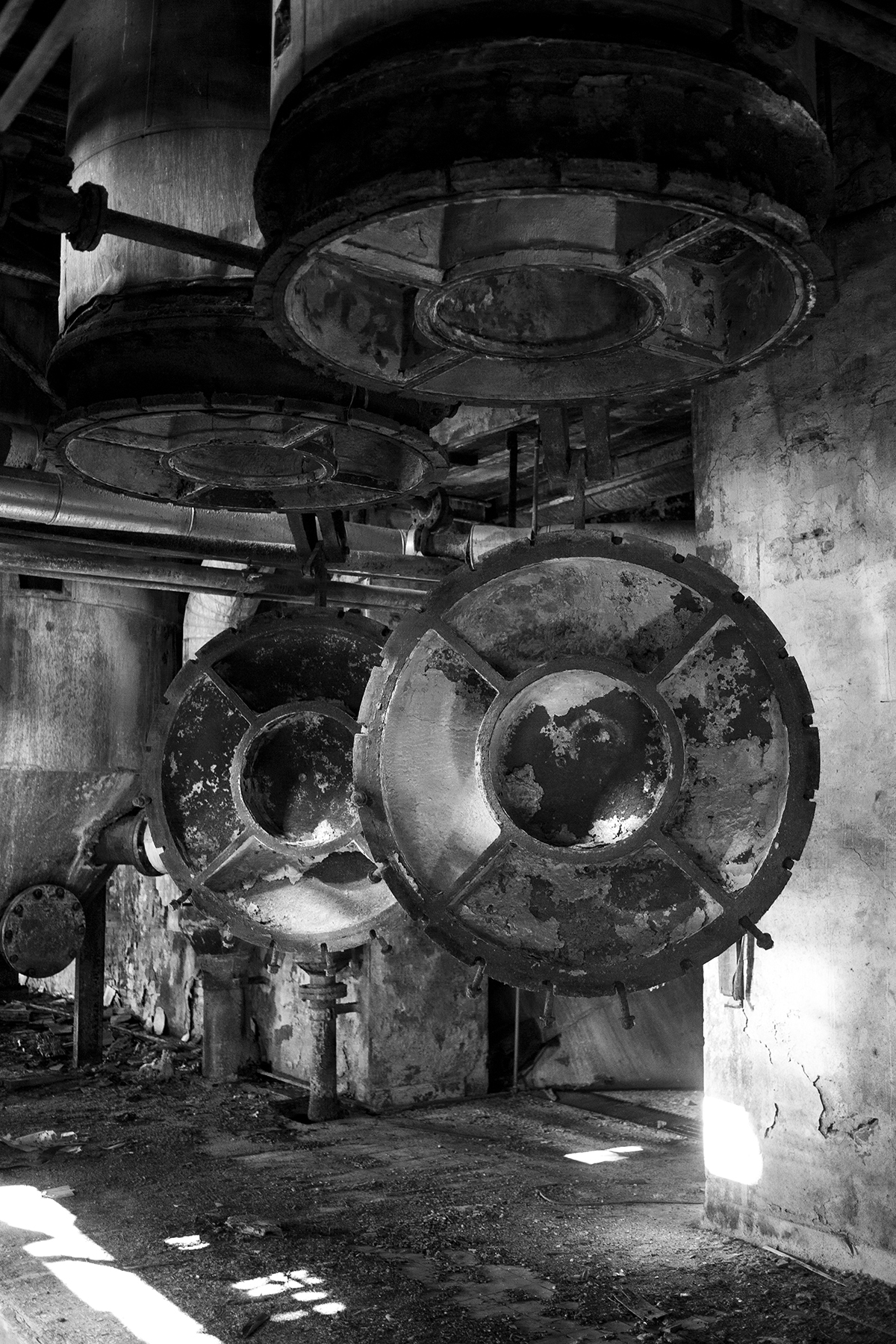 Sugar, you went here?