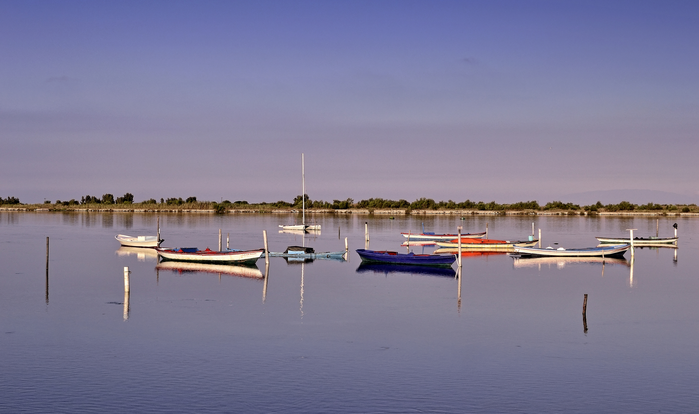 Saldo del cuore e della mente