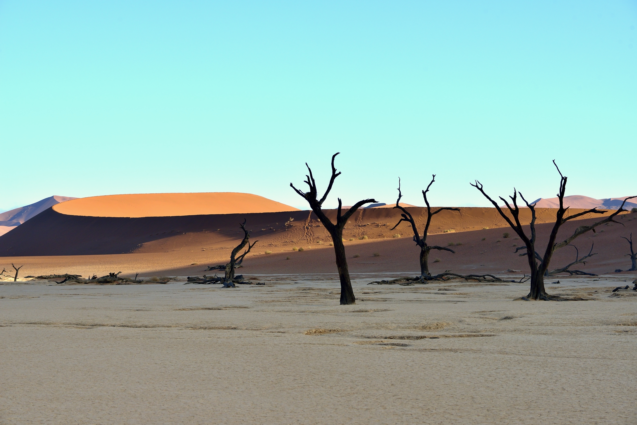 Deserto del Namib - Deadvlei