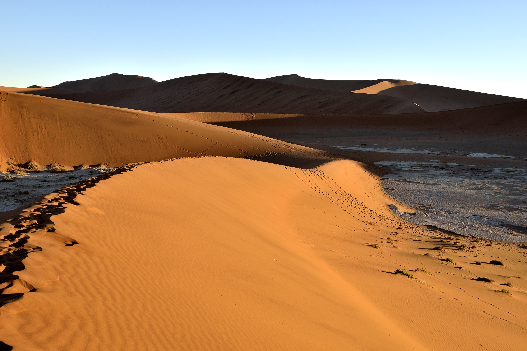 Deserto del Namib -
