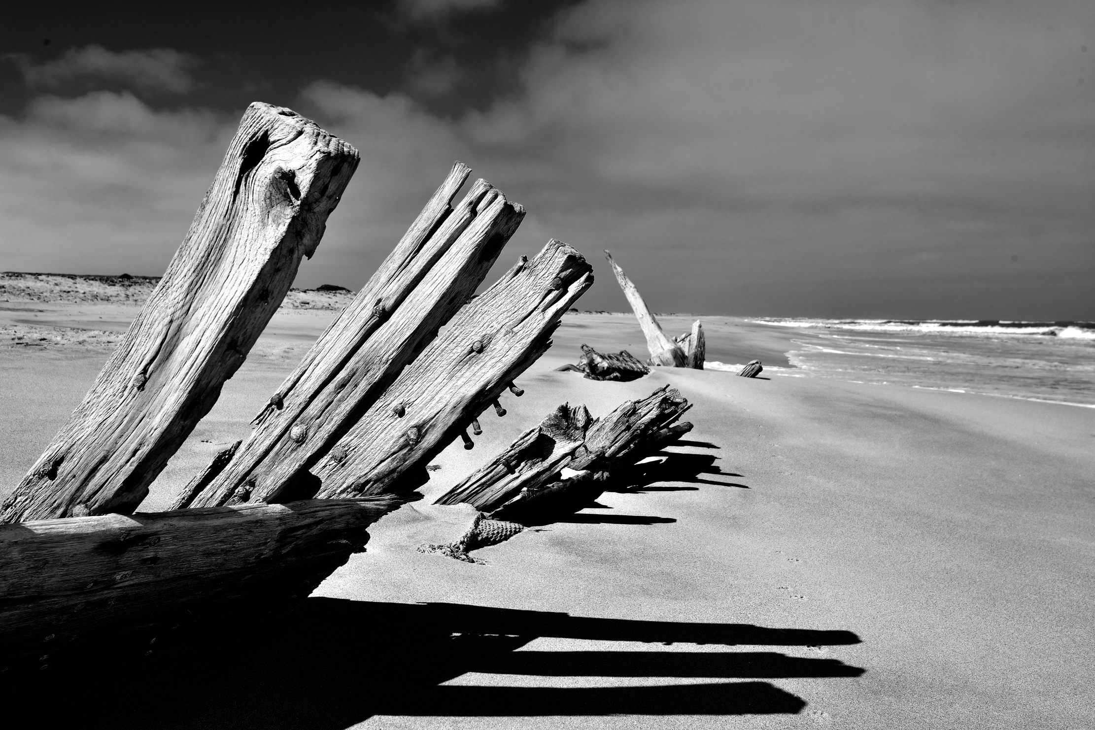Skeleton Coast - Vecchio Relitto di nave
