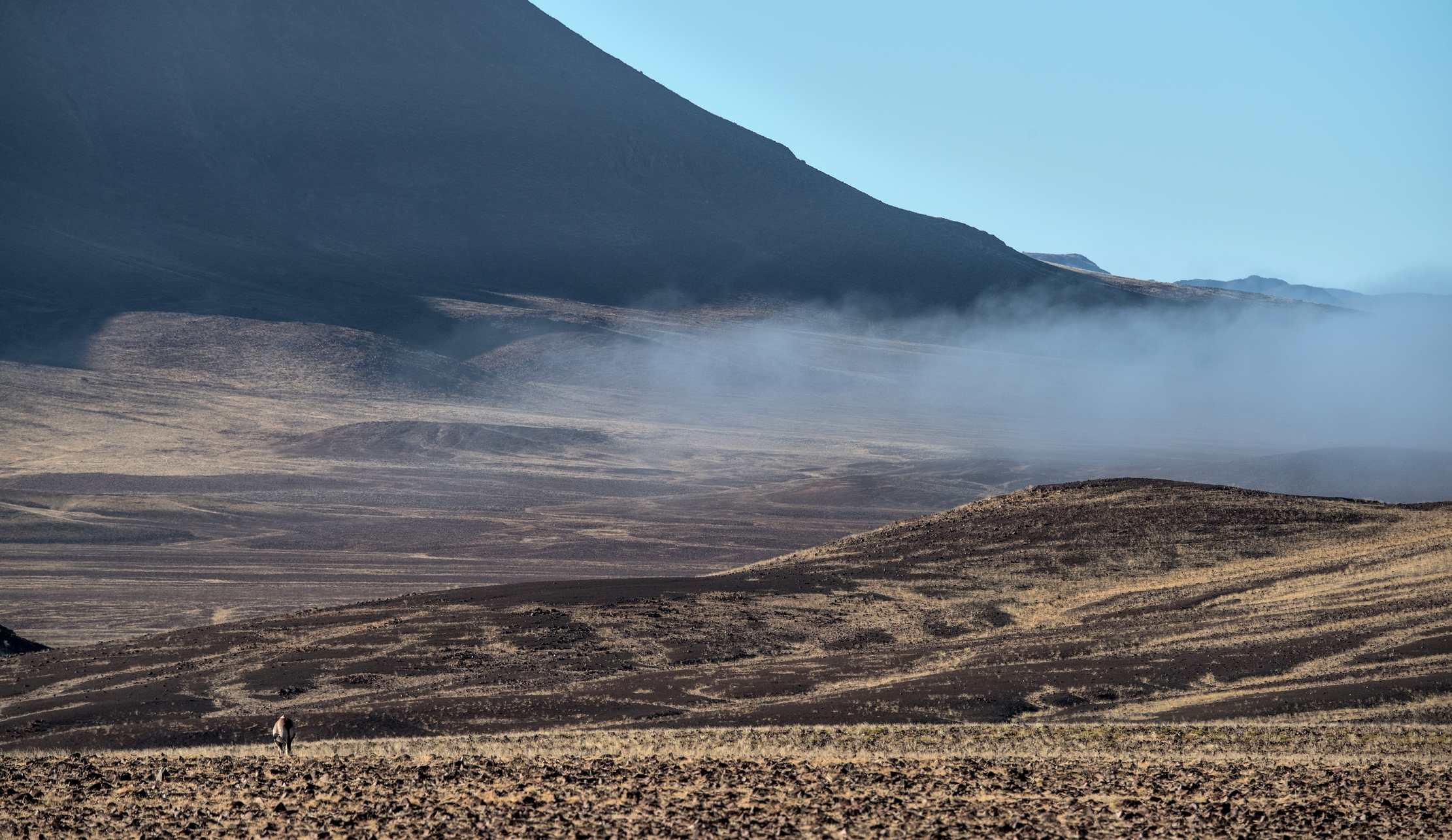 Damaraland - La nebbia dall'Oceano