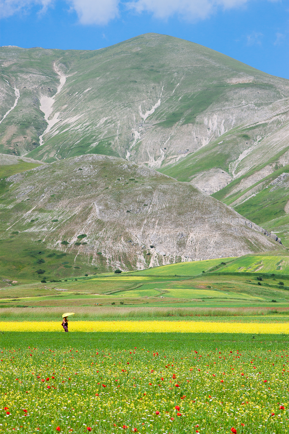 Quando l'ombrello fa pendant