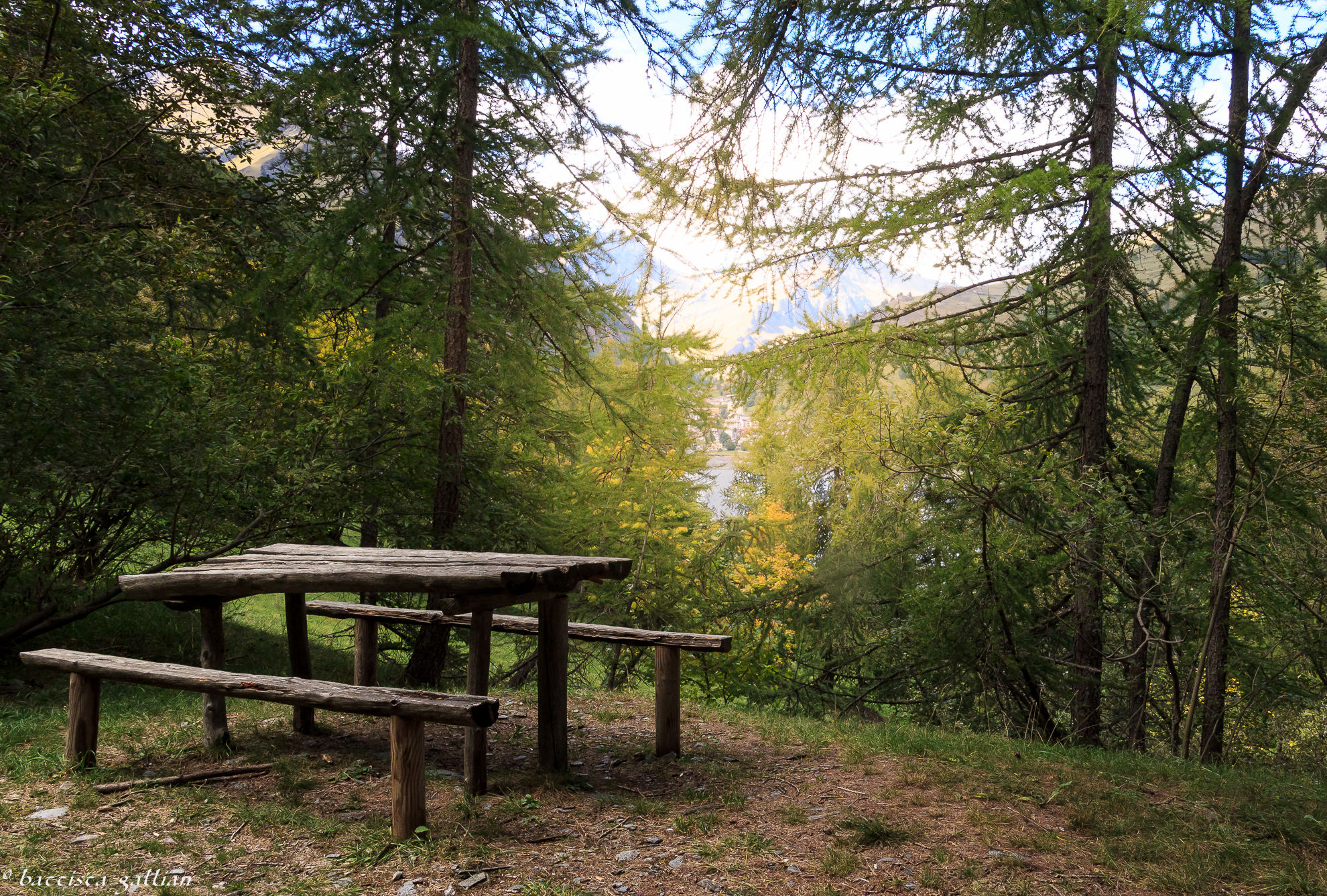 Waiting for the picknik