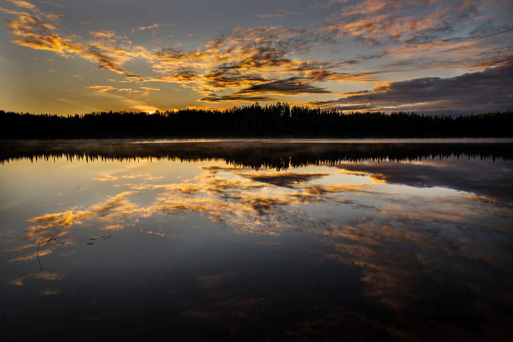 Nancy lake _ Denali State Park