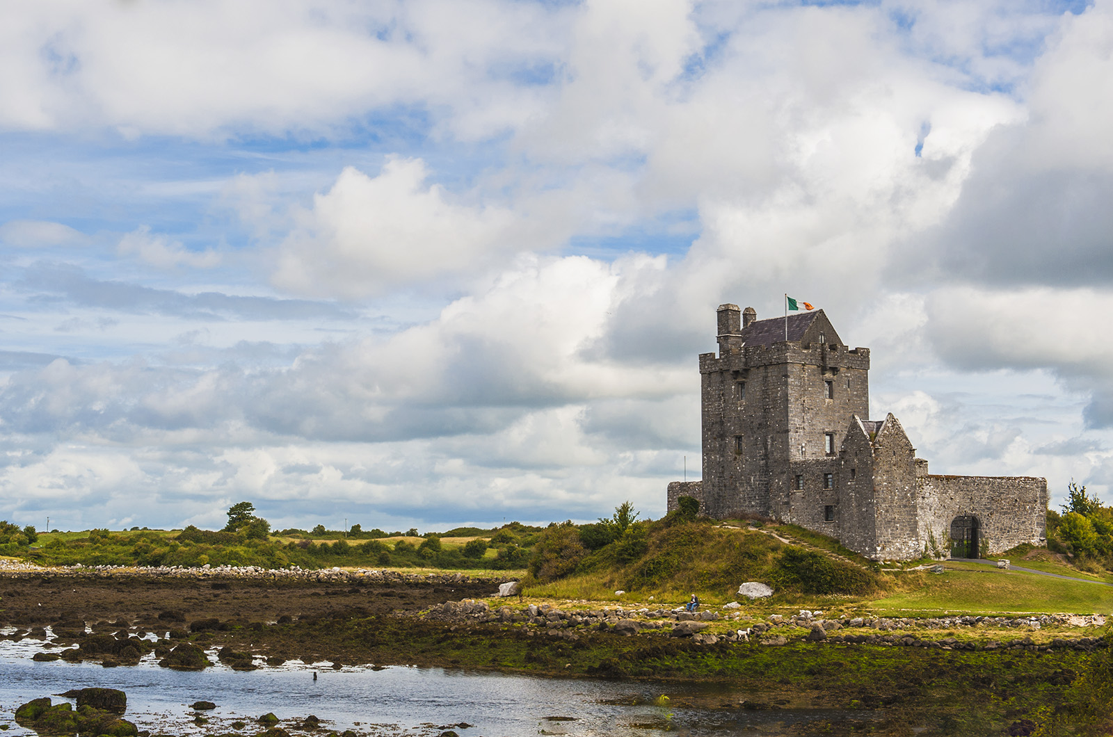 L'uomo, il cane e....il tricolore.