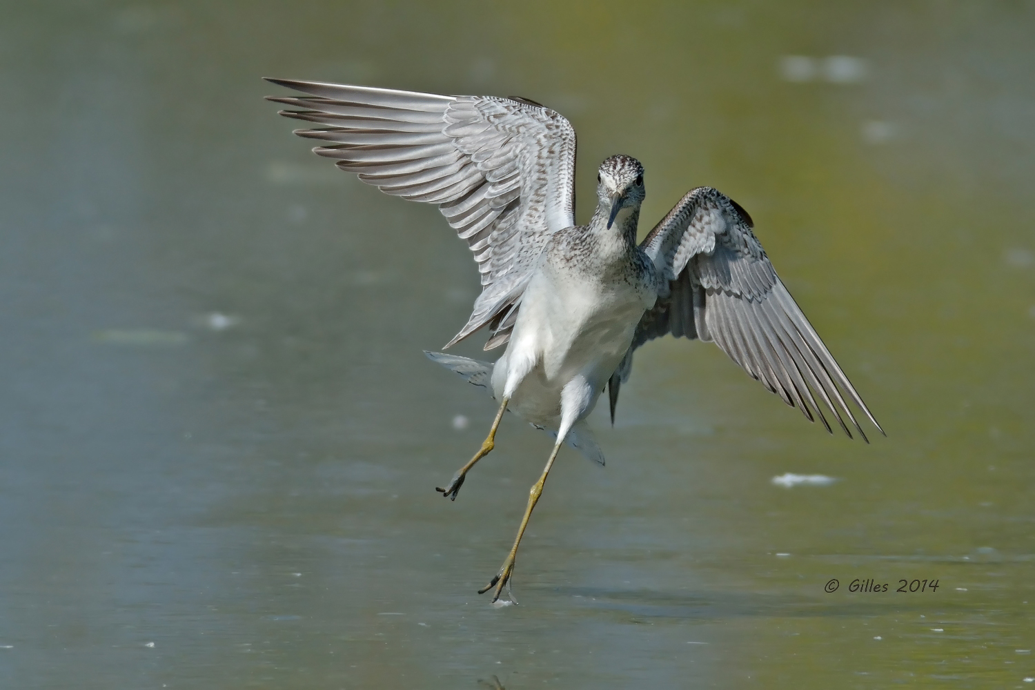 ......òcio che atterrrrrrooooooooooooo.....