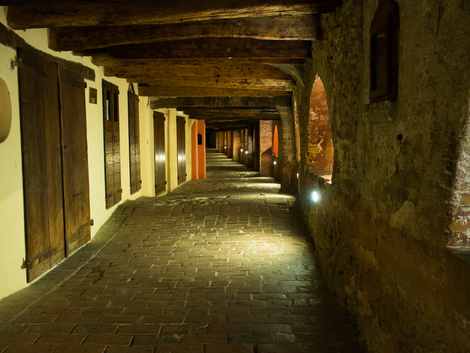 The Way of the asses