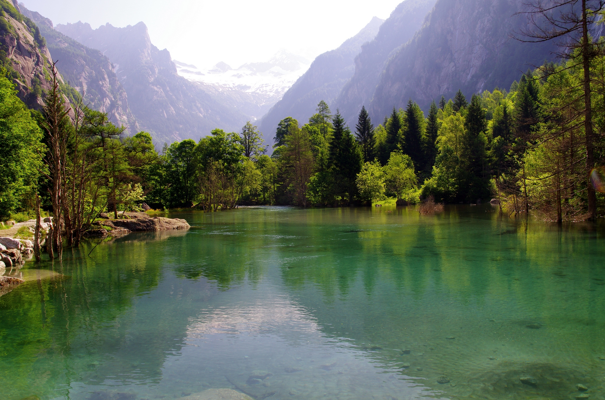 The fairies live here