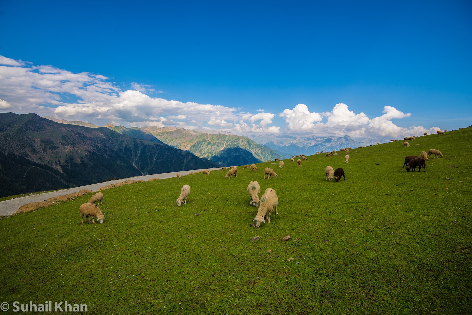 Pascoli Highland, Kashmir, India.