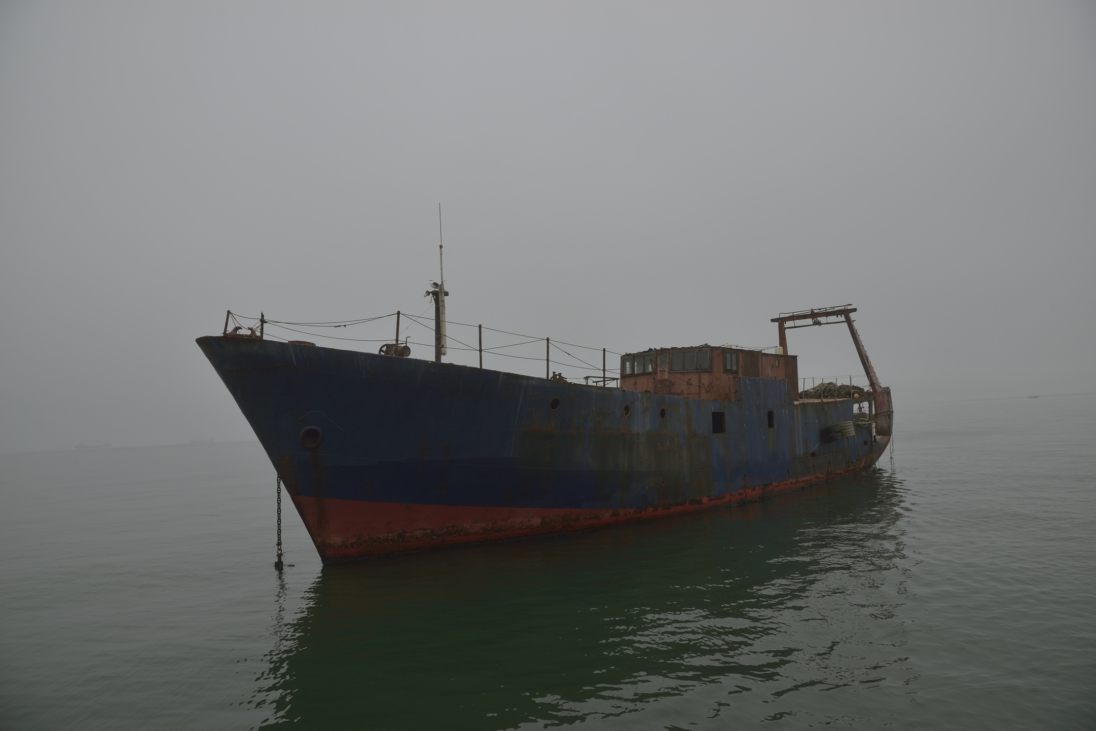 Skeleton Coast - Relitto al Porto dj Walvis Bay