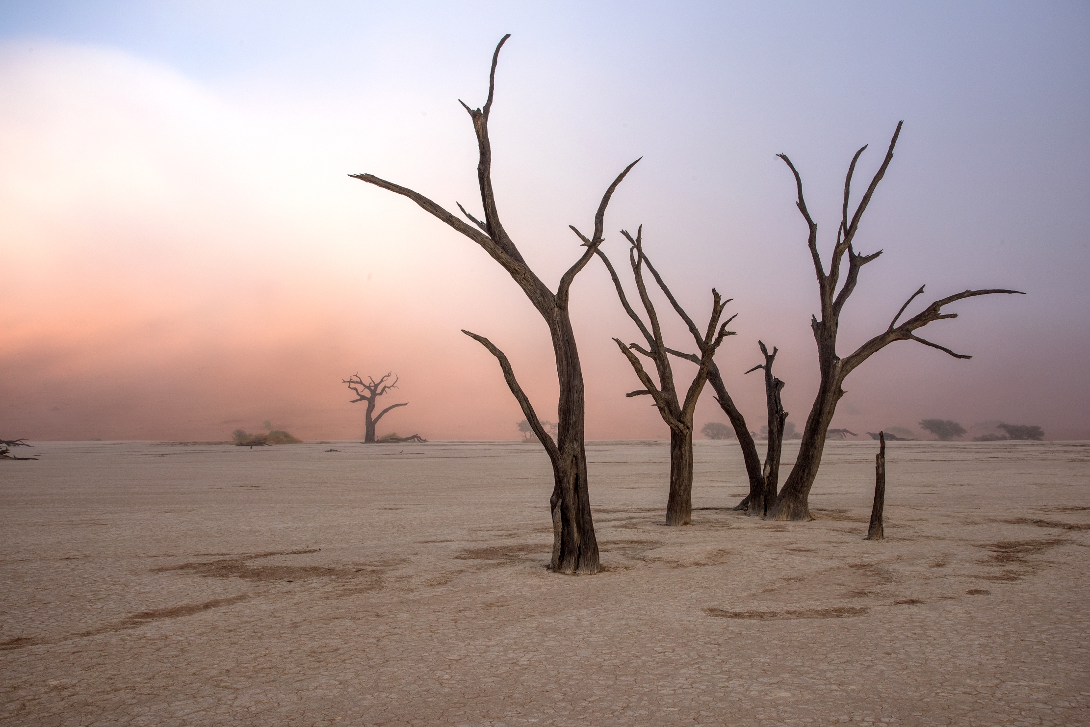 Deserto del Namib - Deadvlei