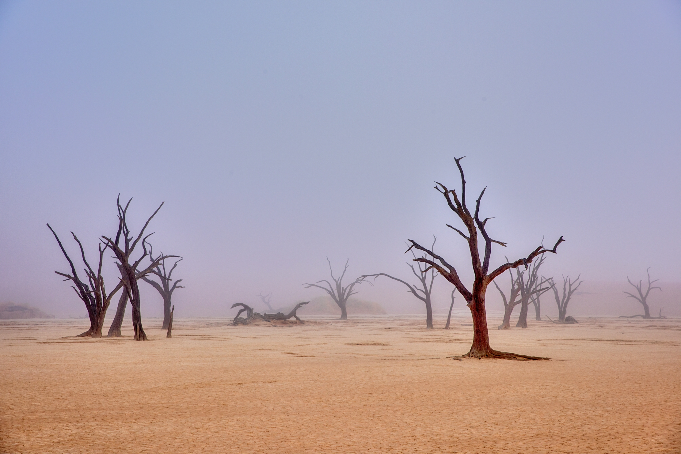 Deserto del Namib - Deadvlei