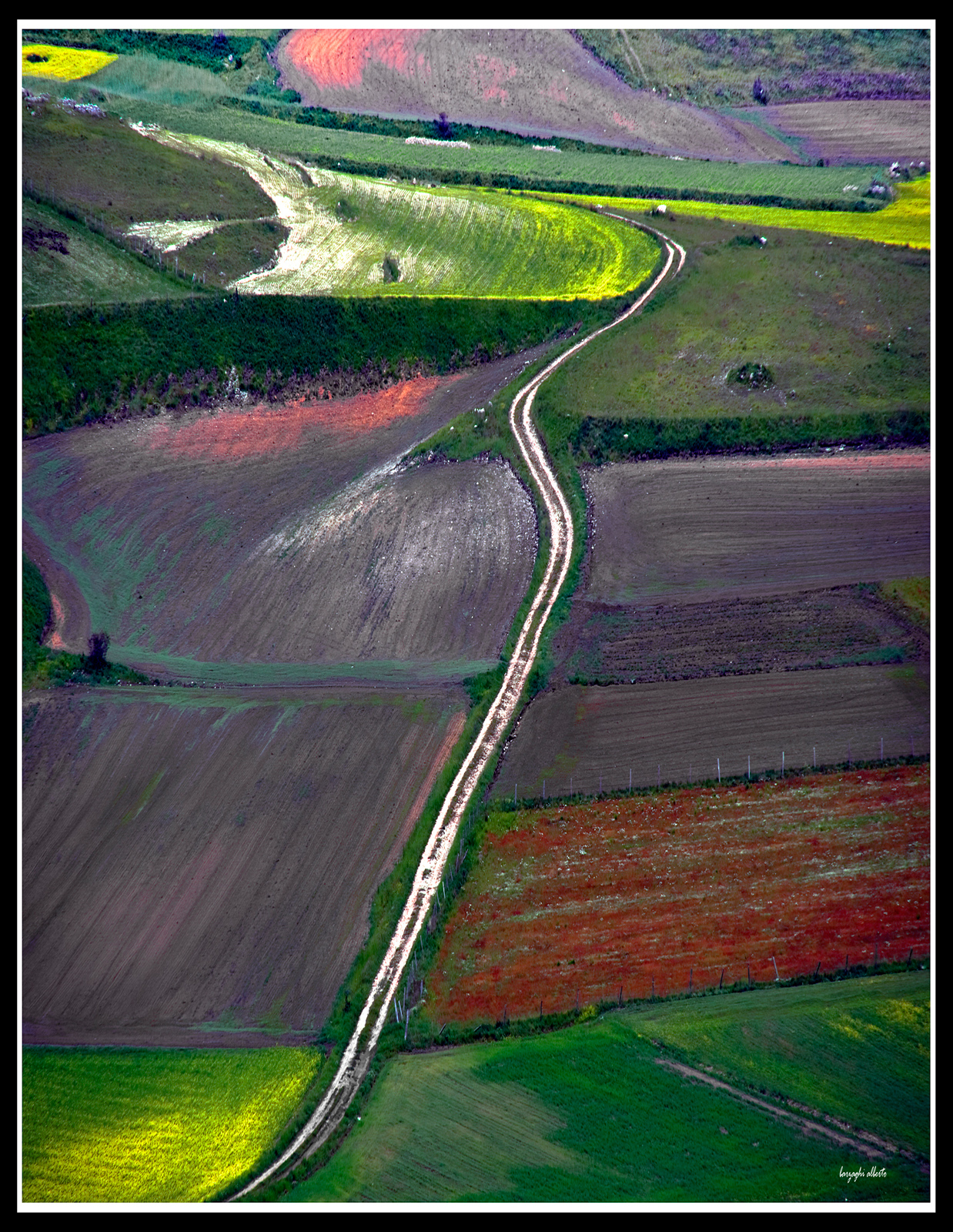 colore di Castelluccio