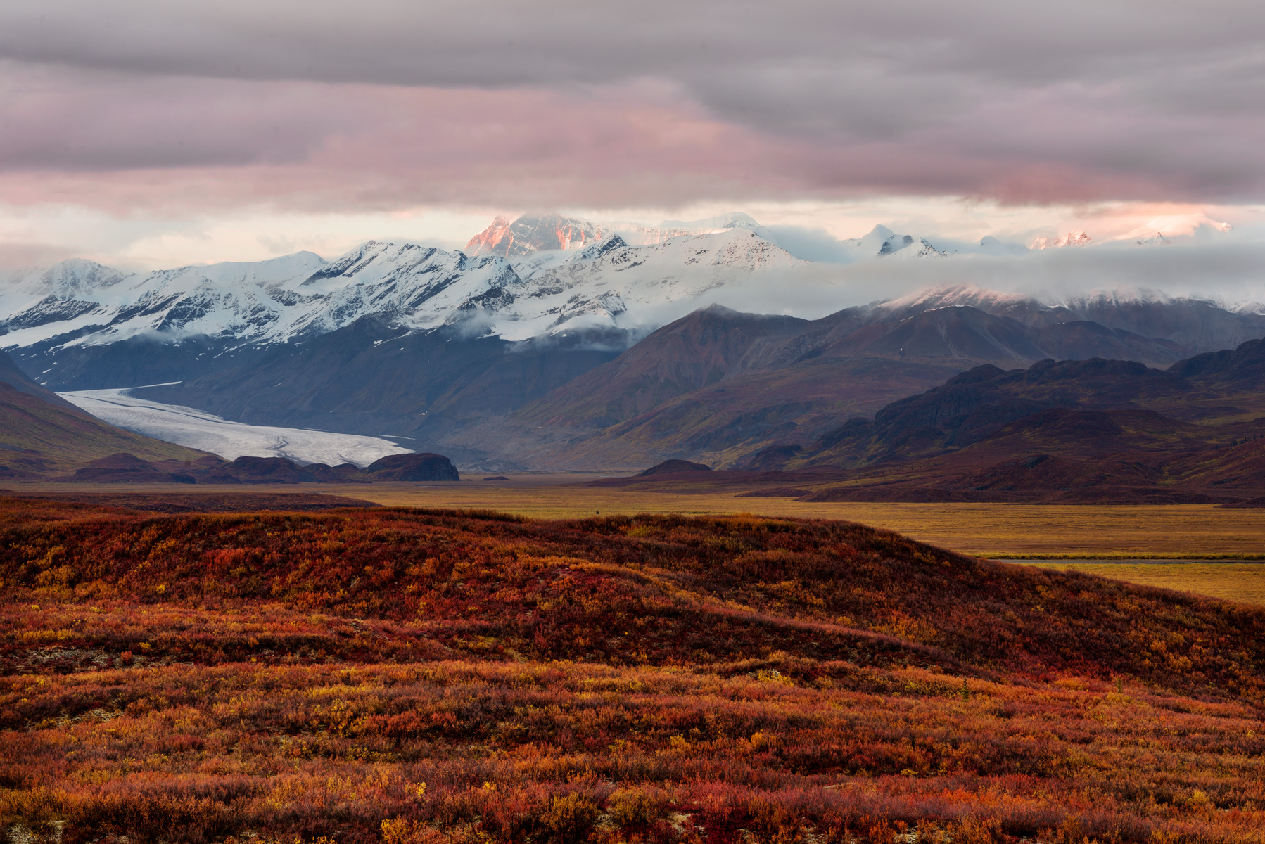 Maclaren Glacier Alaska _
