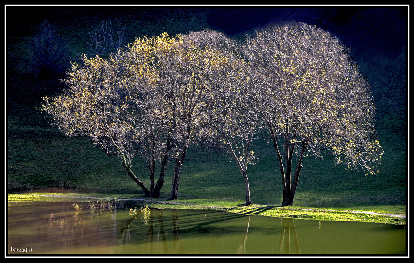 la luce in fotografia