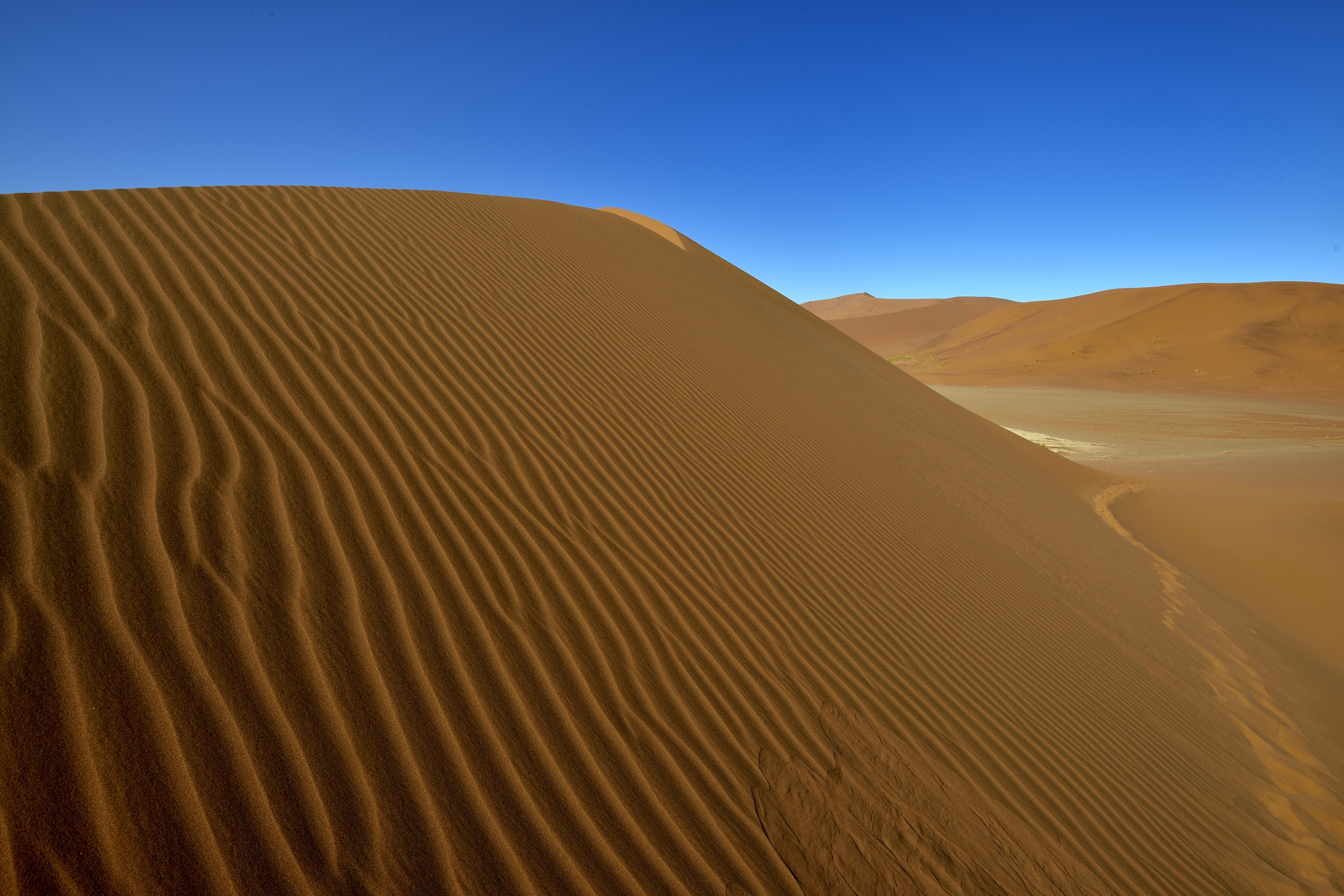 Deserto del Namib -