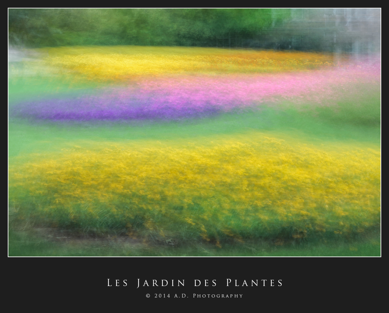 Le Jardin des Plantes