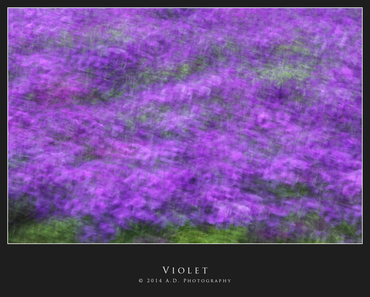Violet