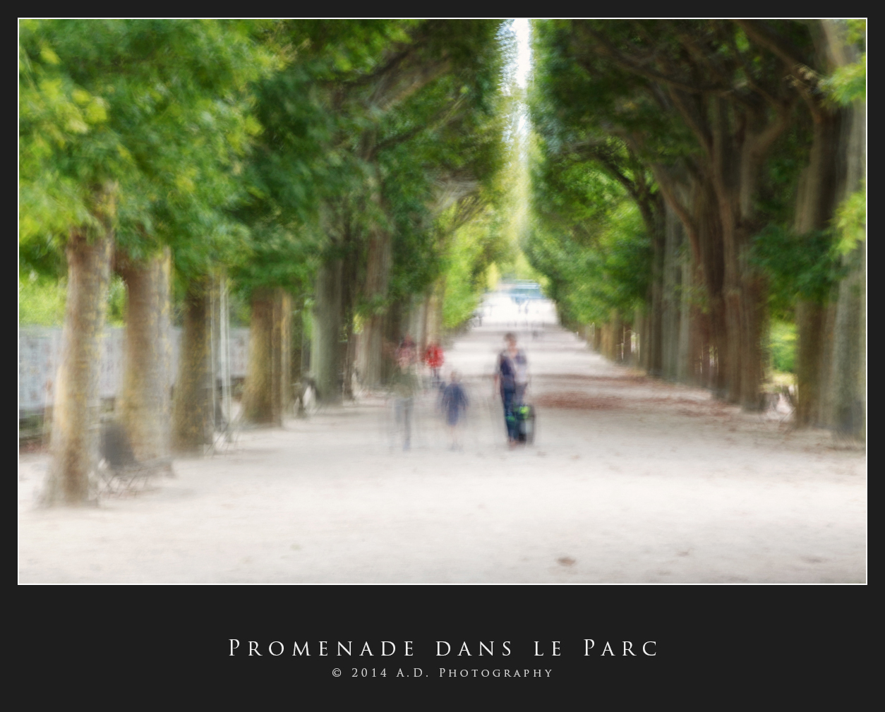 Promenade dans le Parc