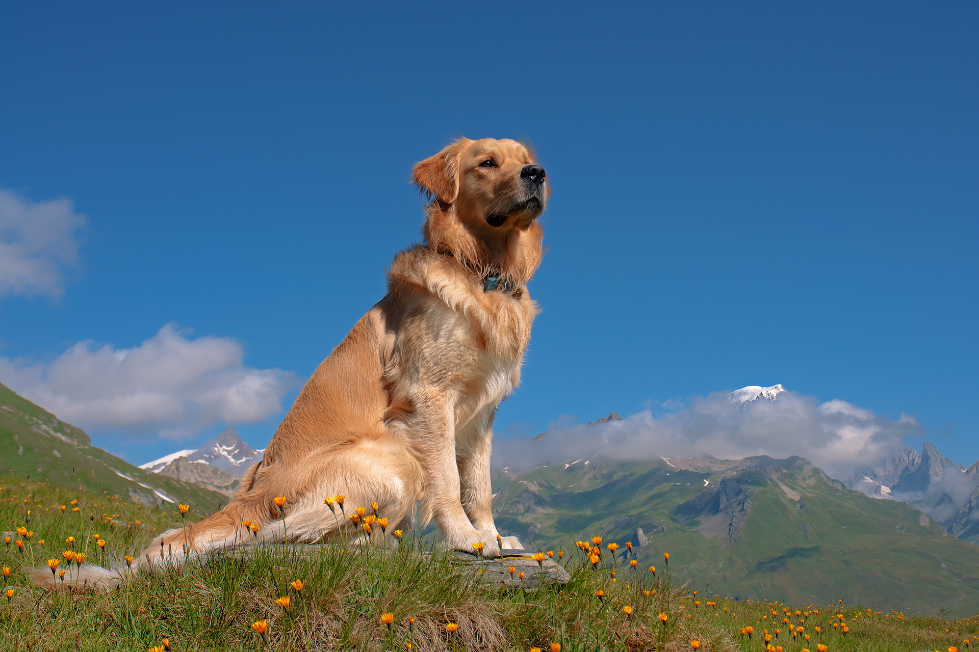 The brick at the Piccolo San Bernardo against the backdrop o...
