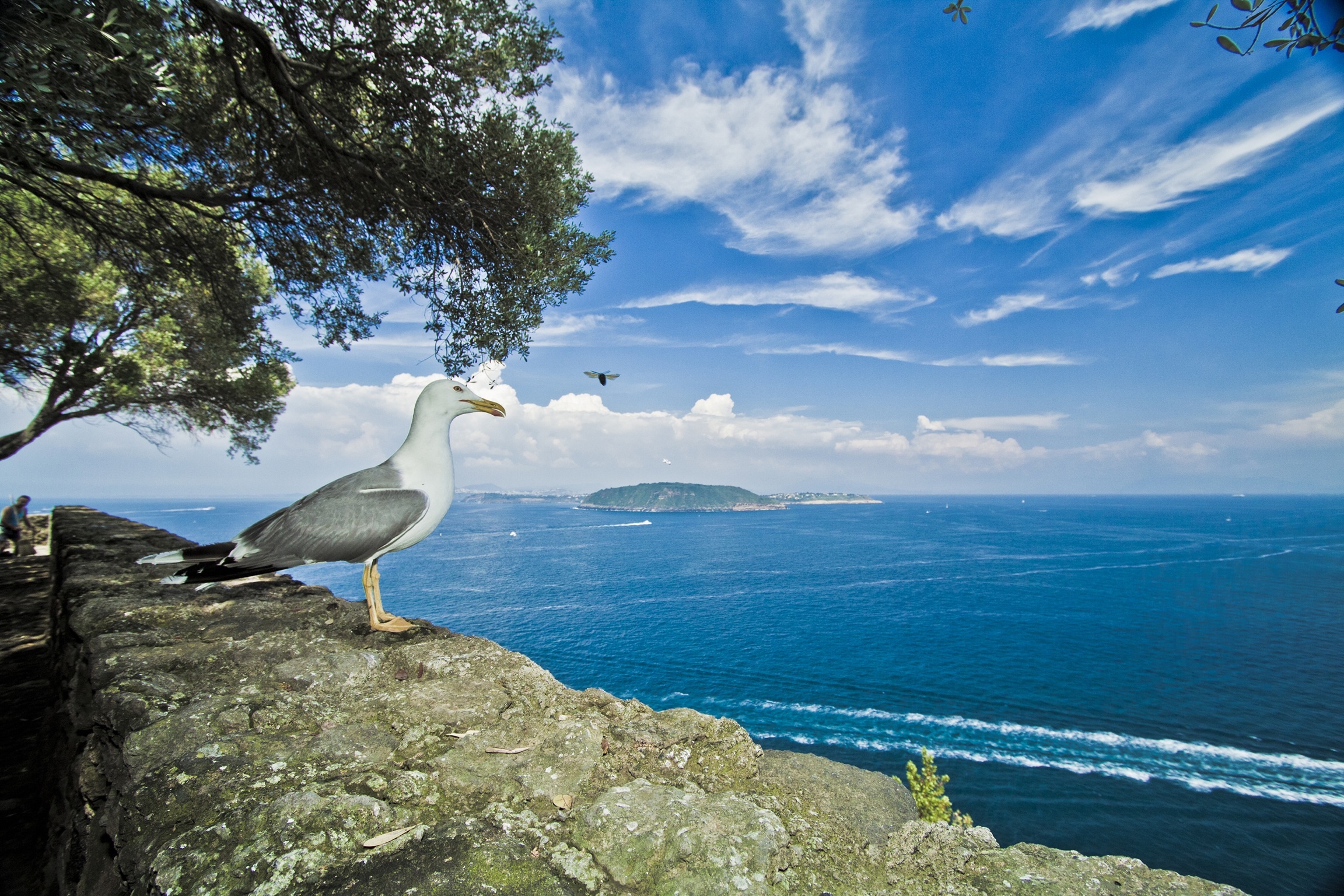 Avvicinati ancora un pochino ......