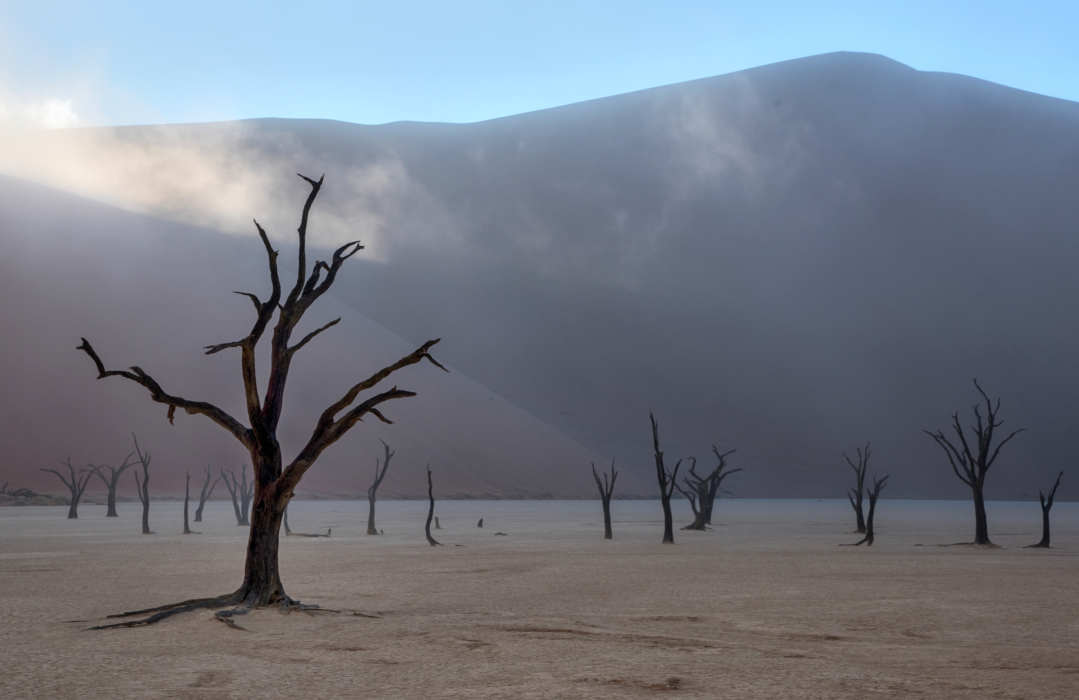 Deserto del Namib - Deadvlei